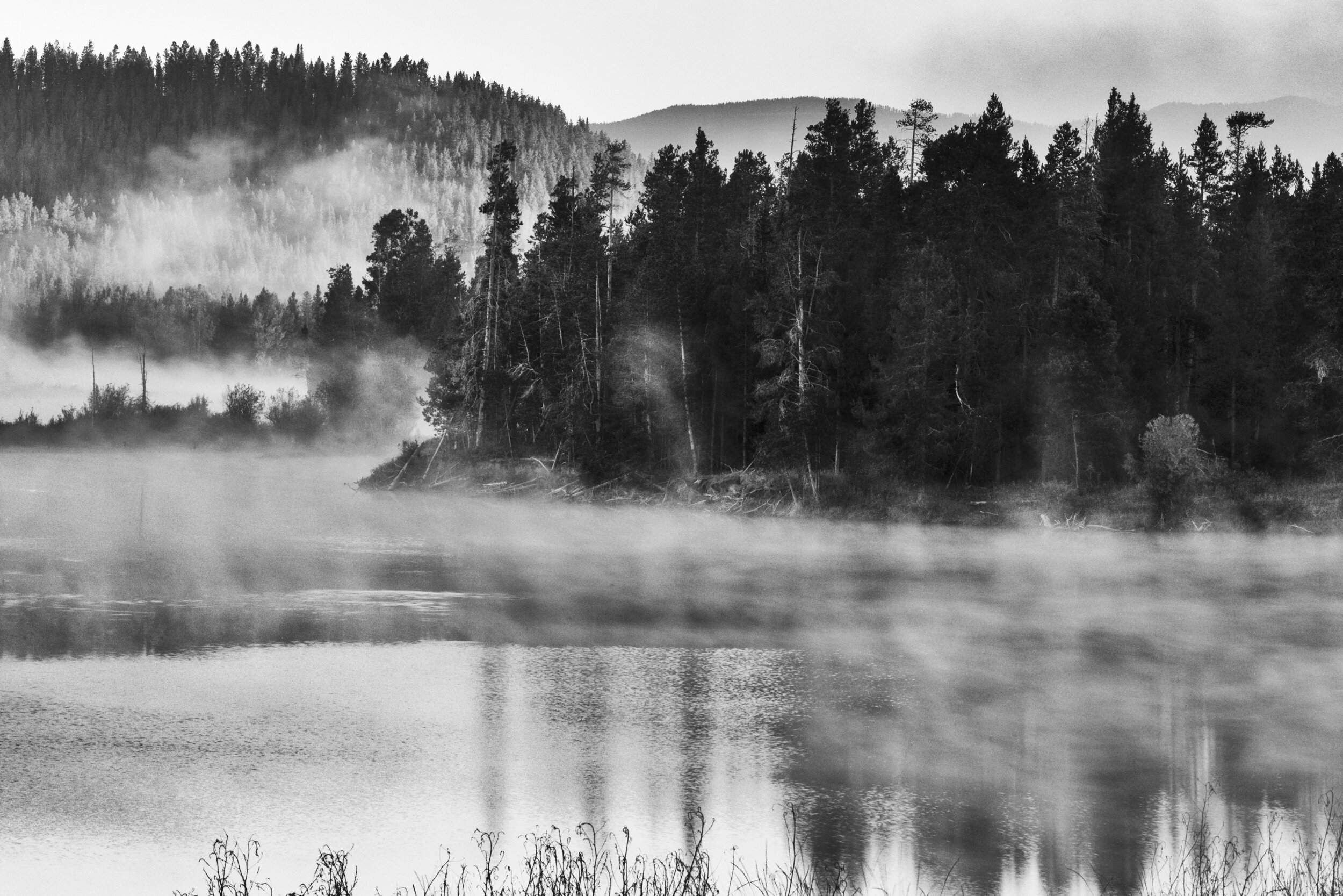 Oxbow Lake and Fog - 373