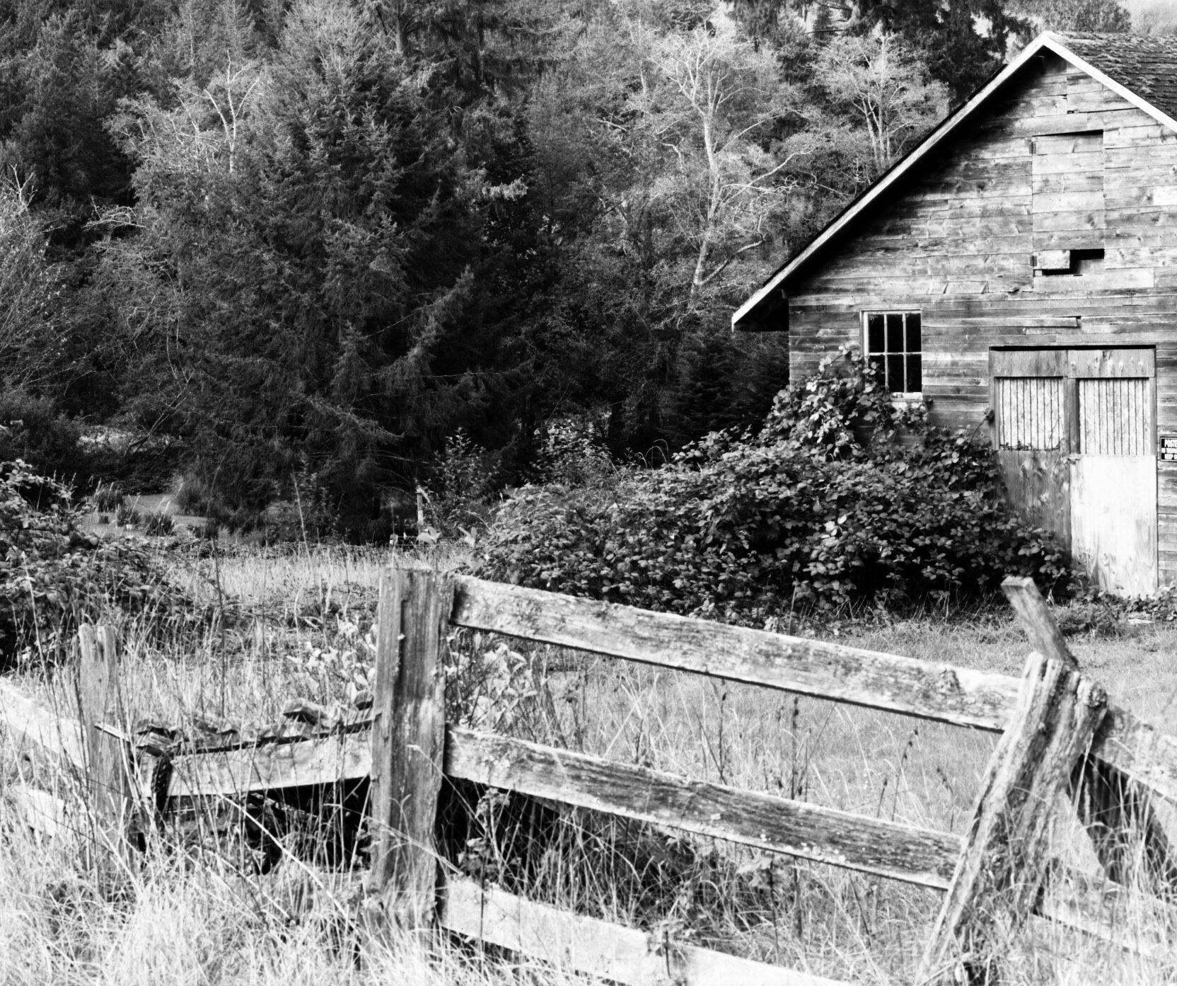 Still Standing, Washington State
