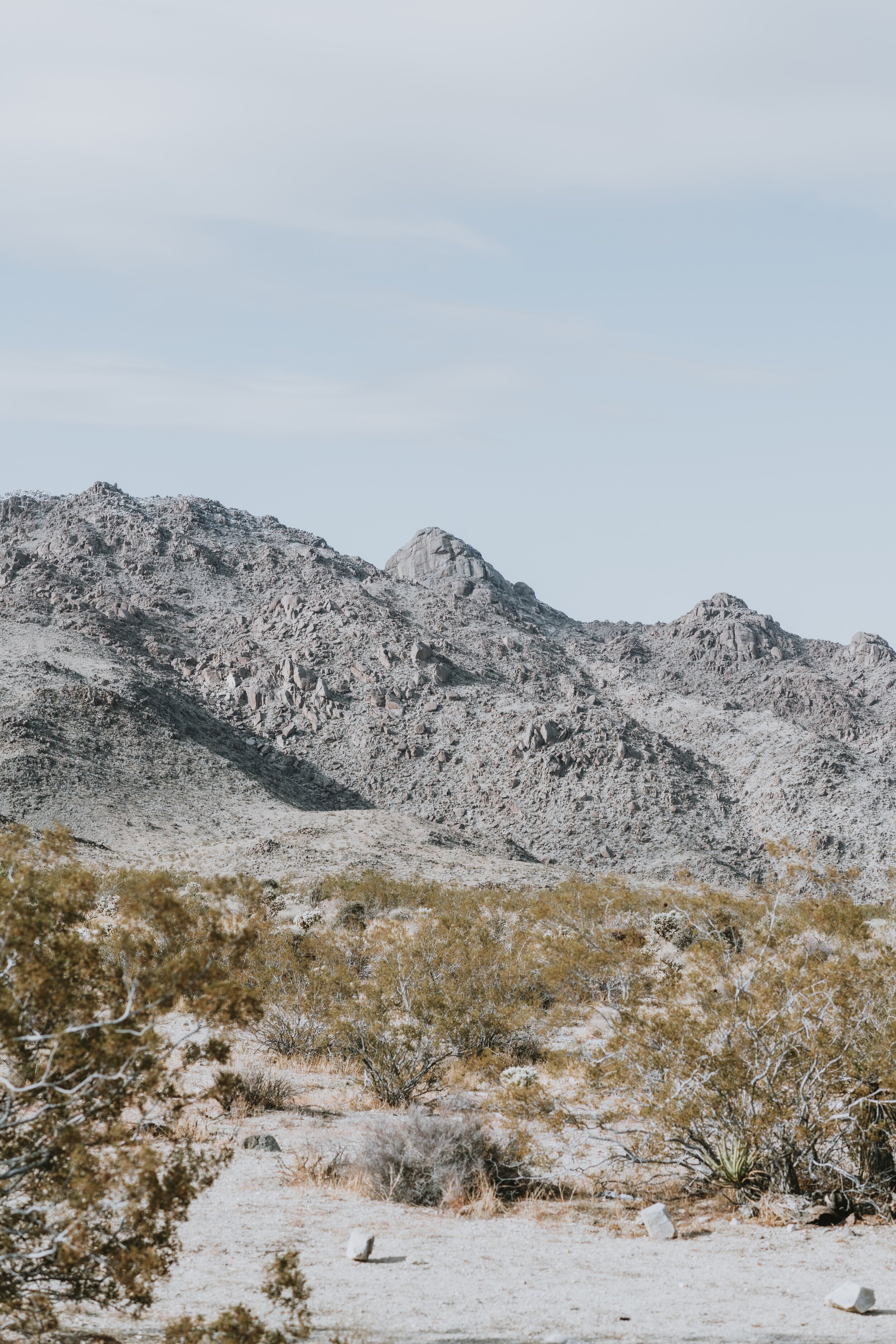 2B0DCA49-242F-4FBA-86D0-A031839A4129.jpeg