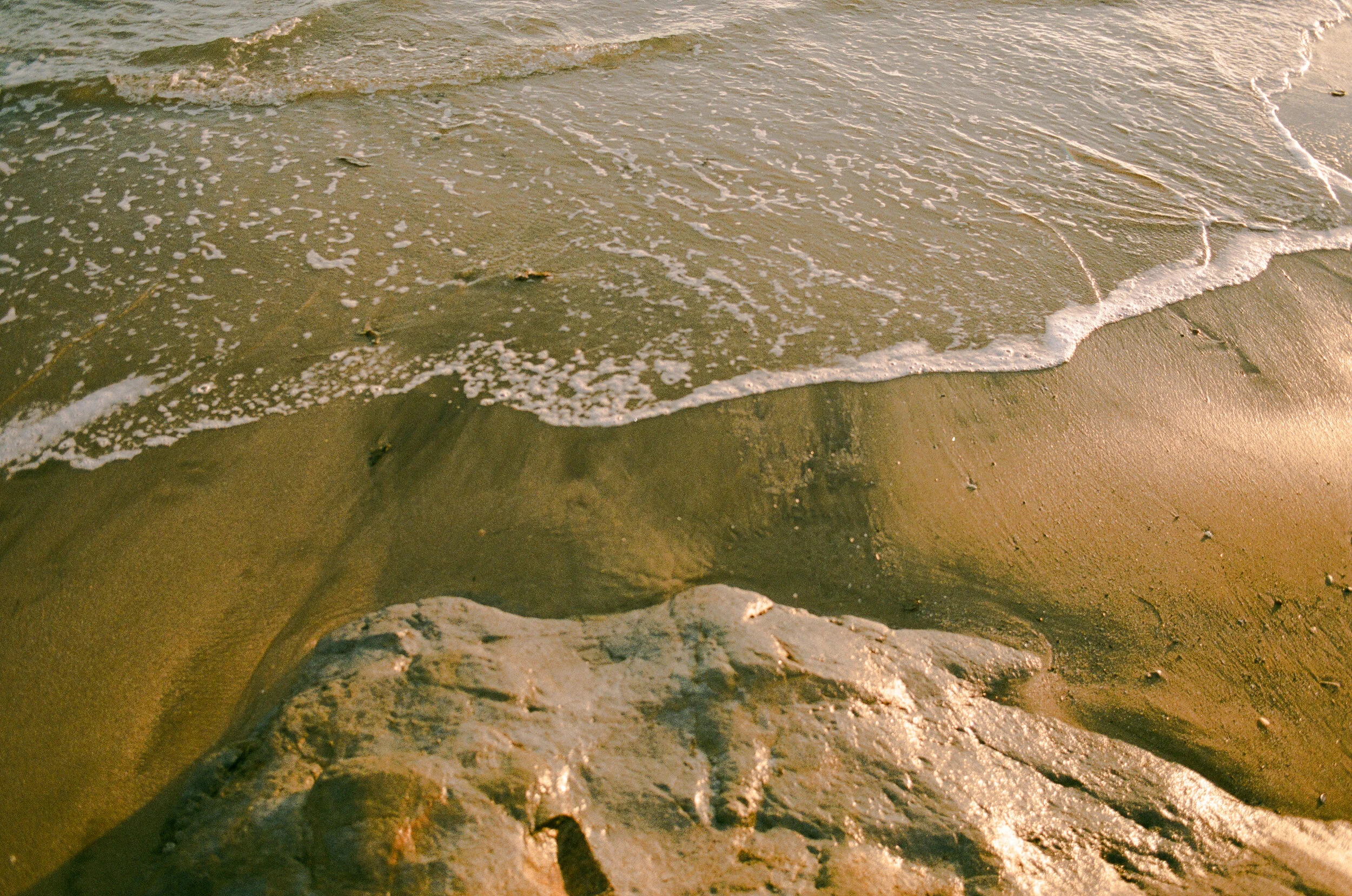 lagunalove (8 of 17).jpg