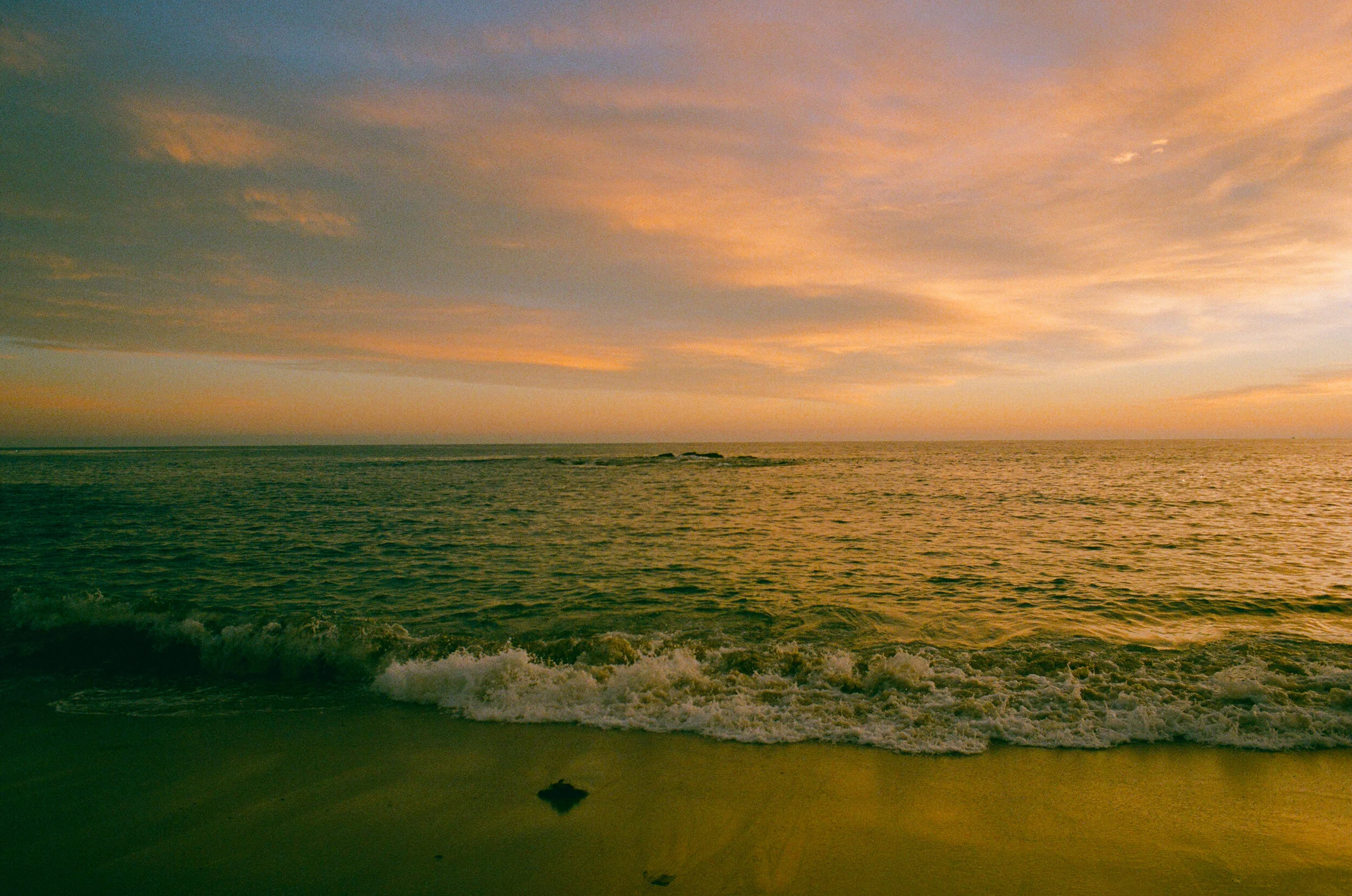 lagunalove (13 of 17).jpg