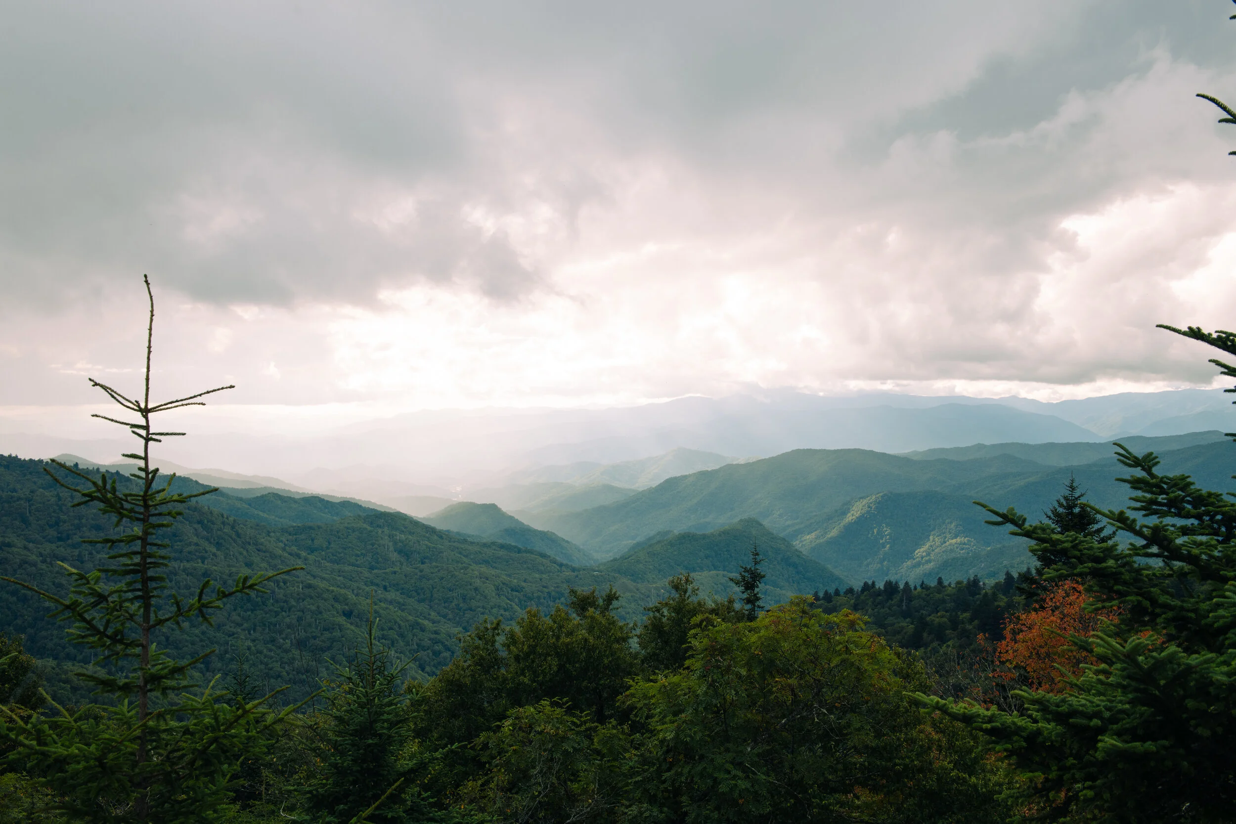 AfterlightImage copy 2.JPG