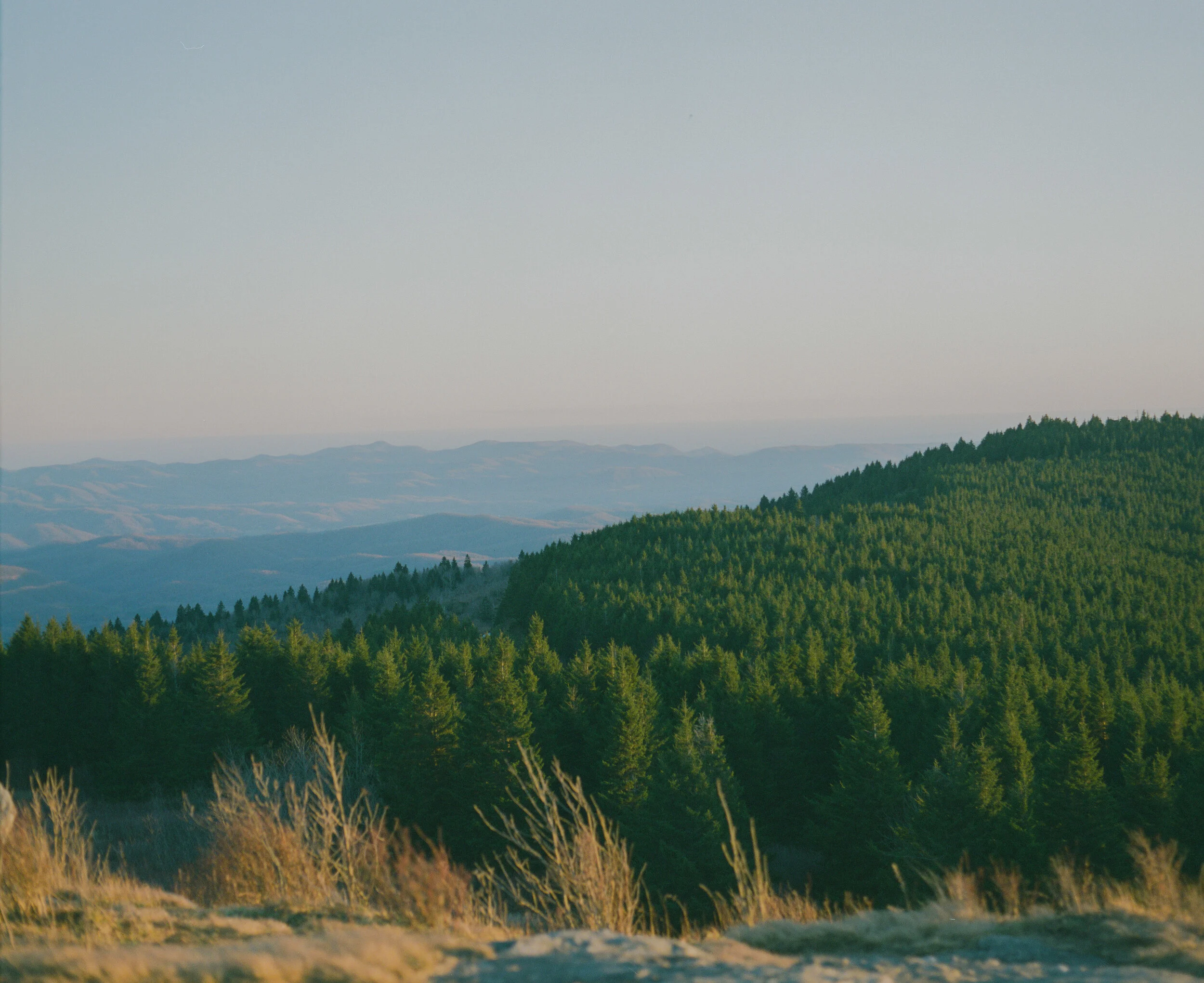 AfterlightImage 2.JPG