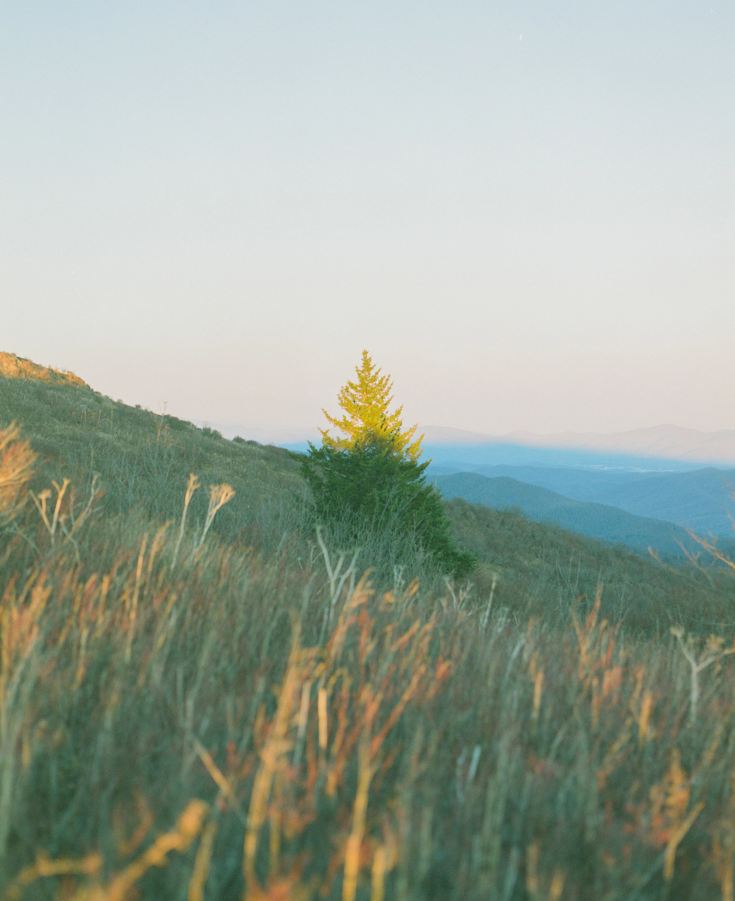 AfterlightImage 3.JPG