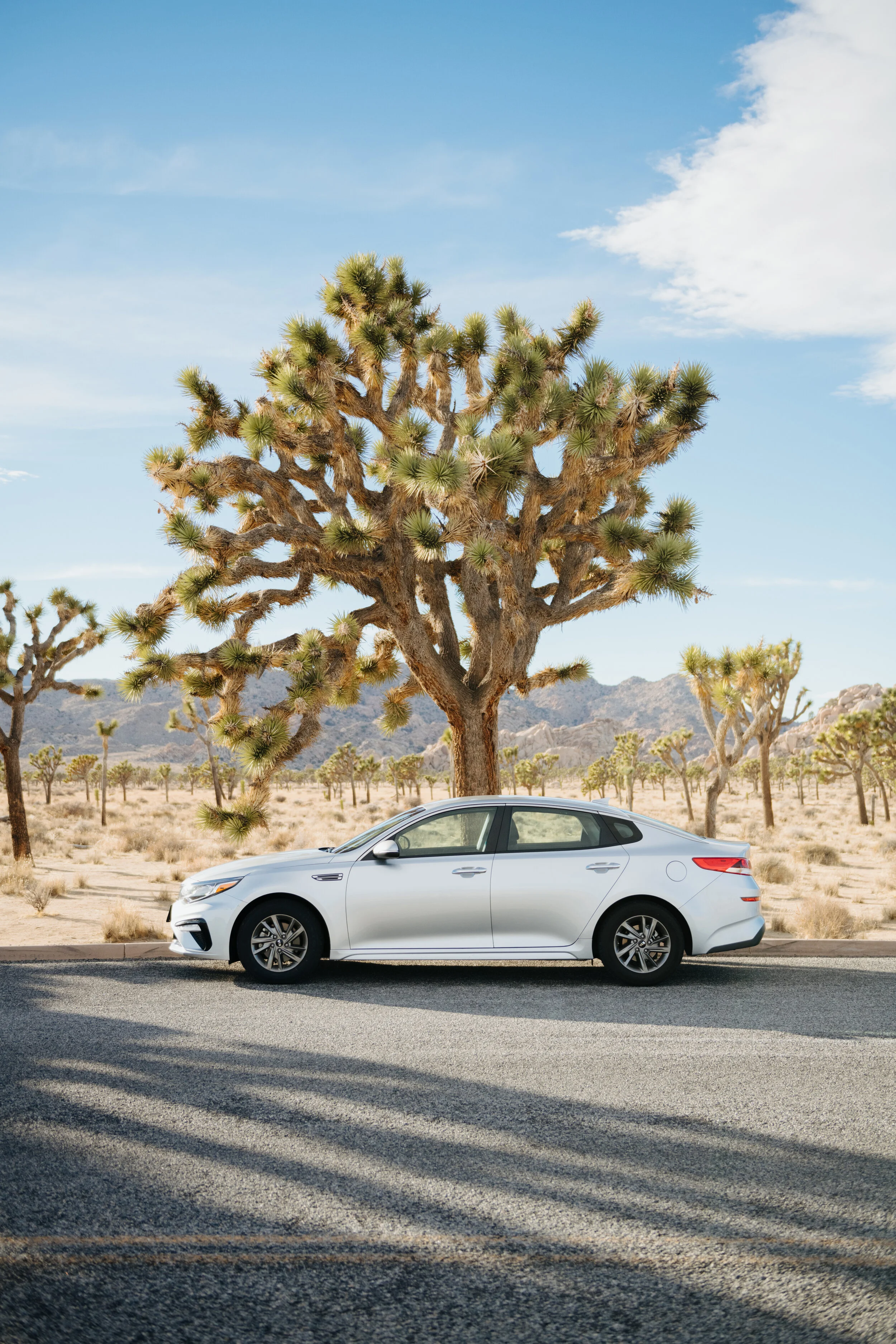 AfterlightImage 2.JPG