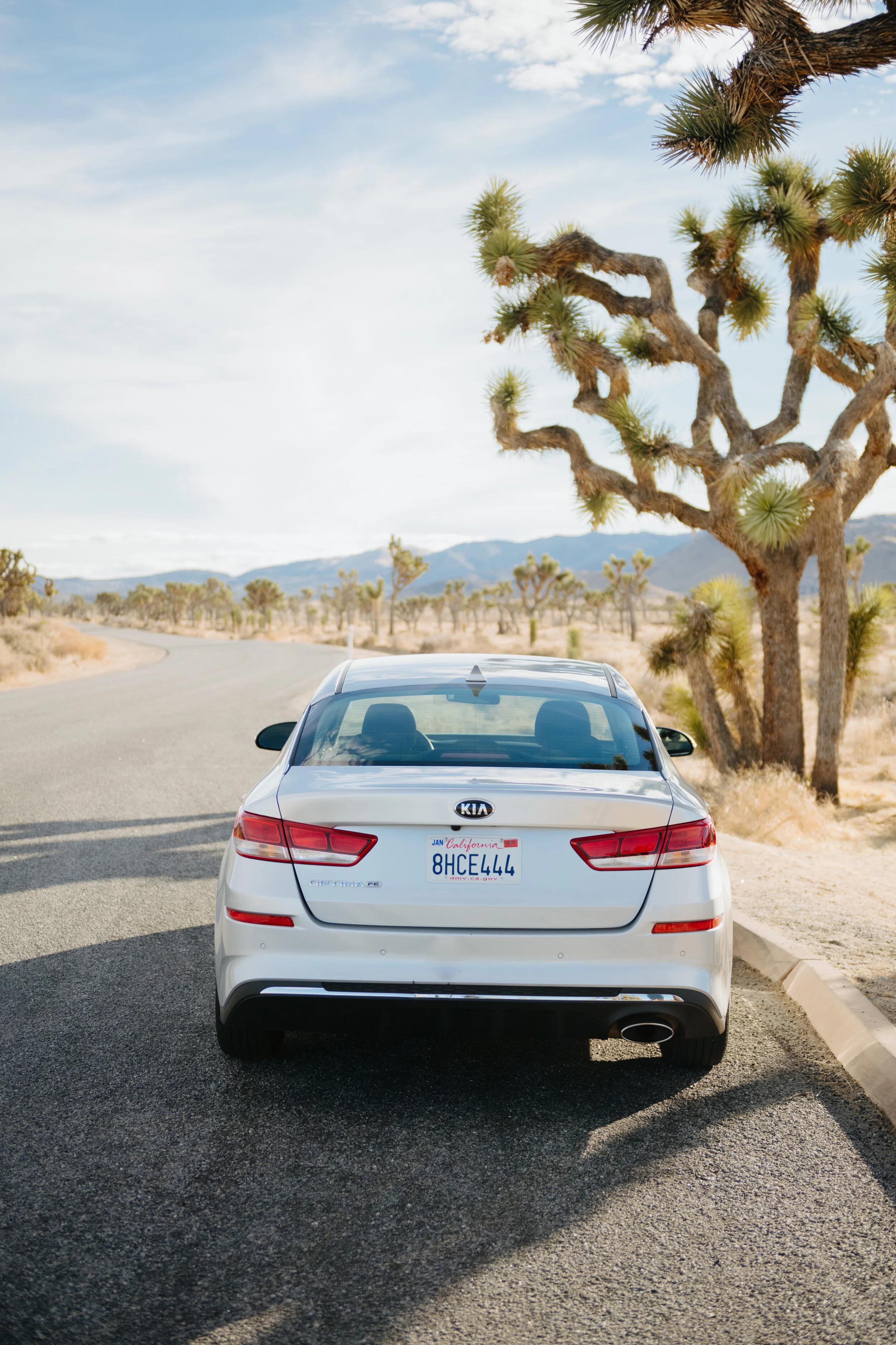 AfterlightImage 6.JPG