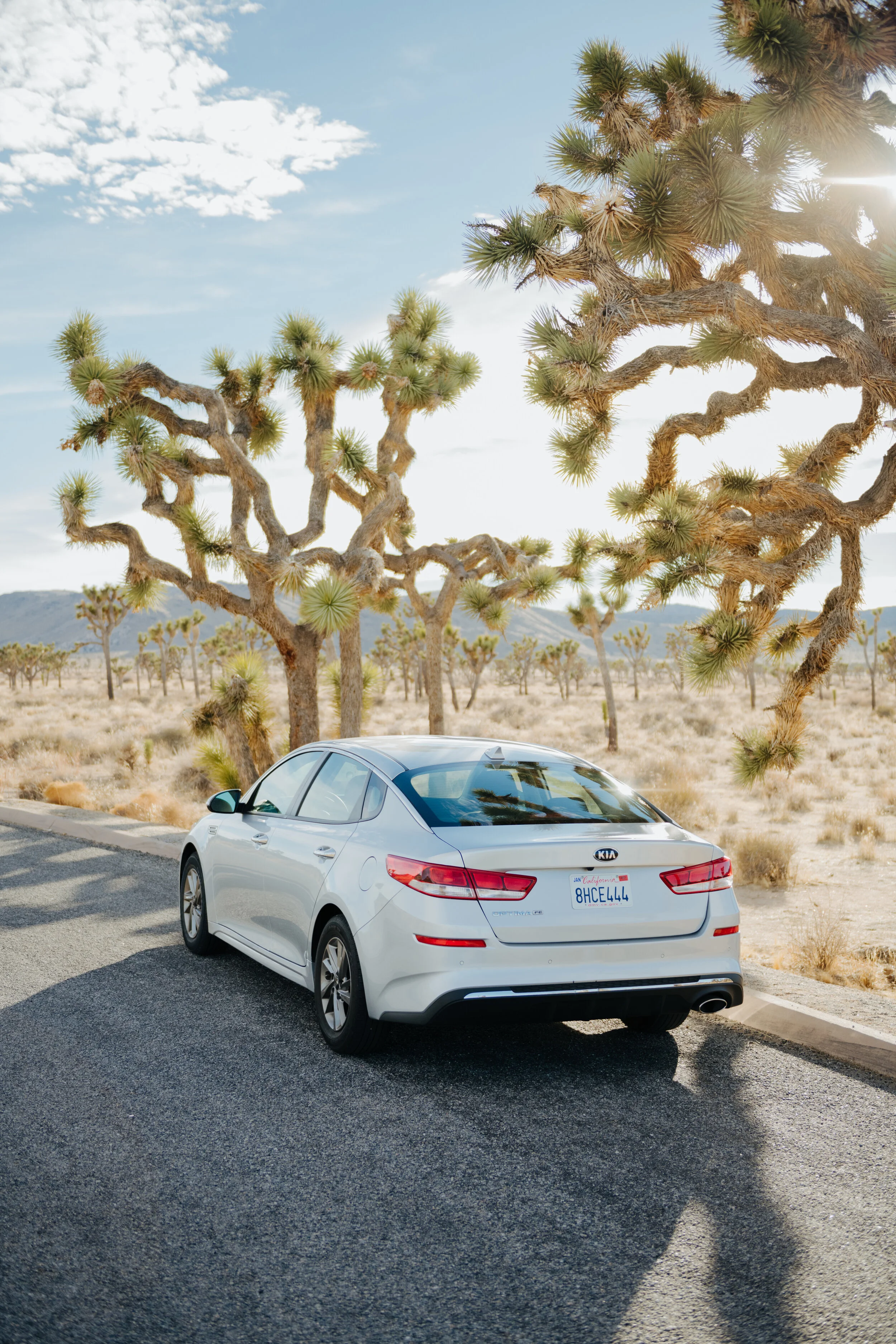 AfterlightImage 7.JPG