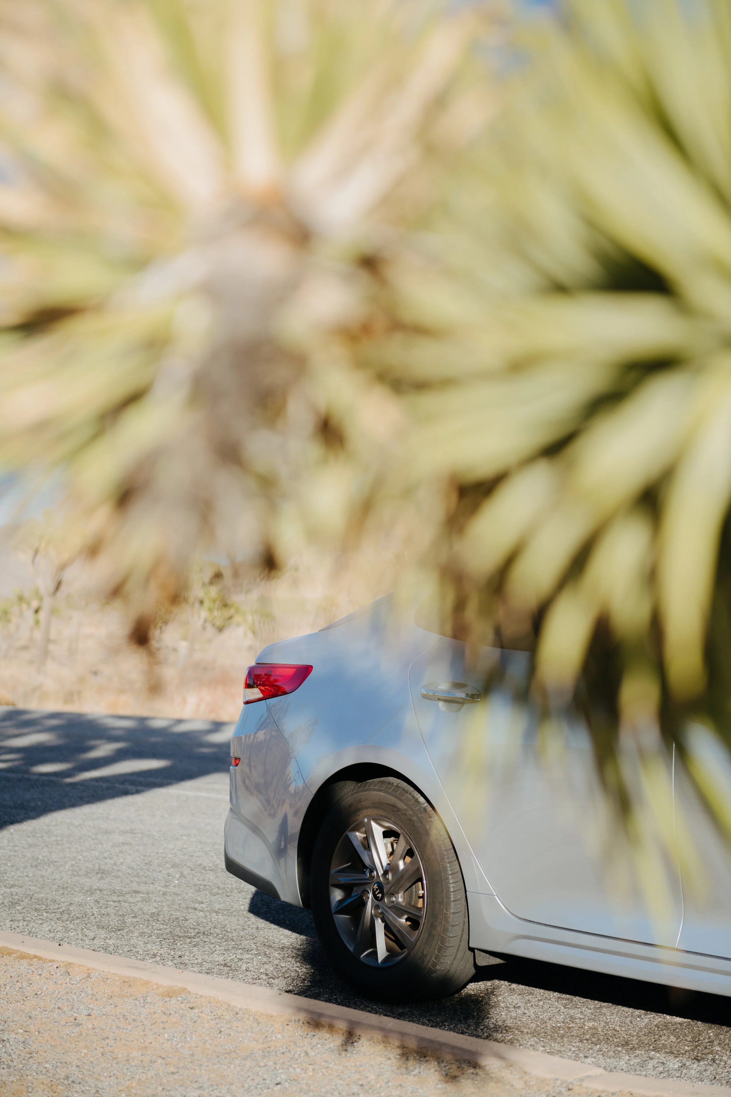 AfterlightImage 8.JPG