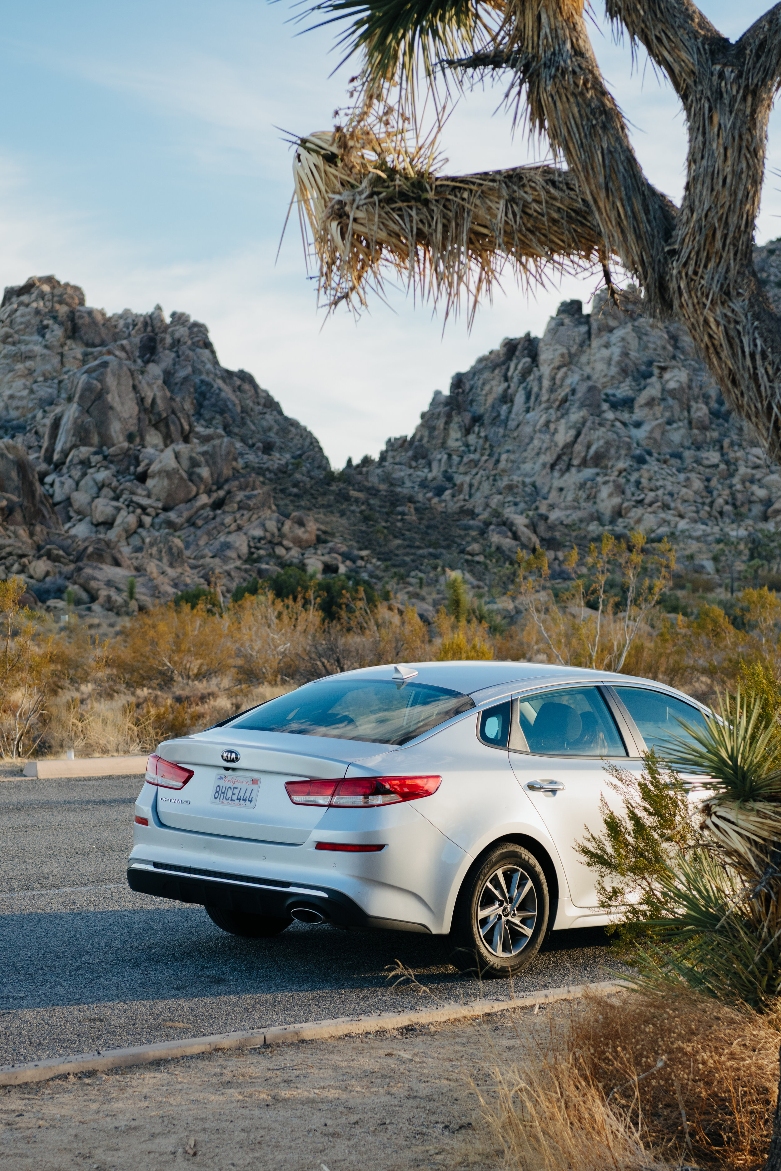 kiaoptima (9 of 12).JPG