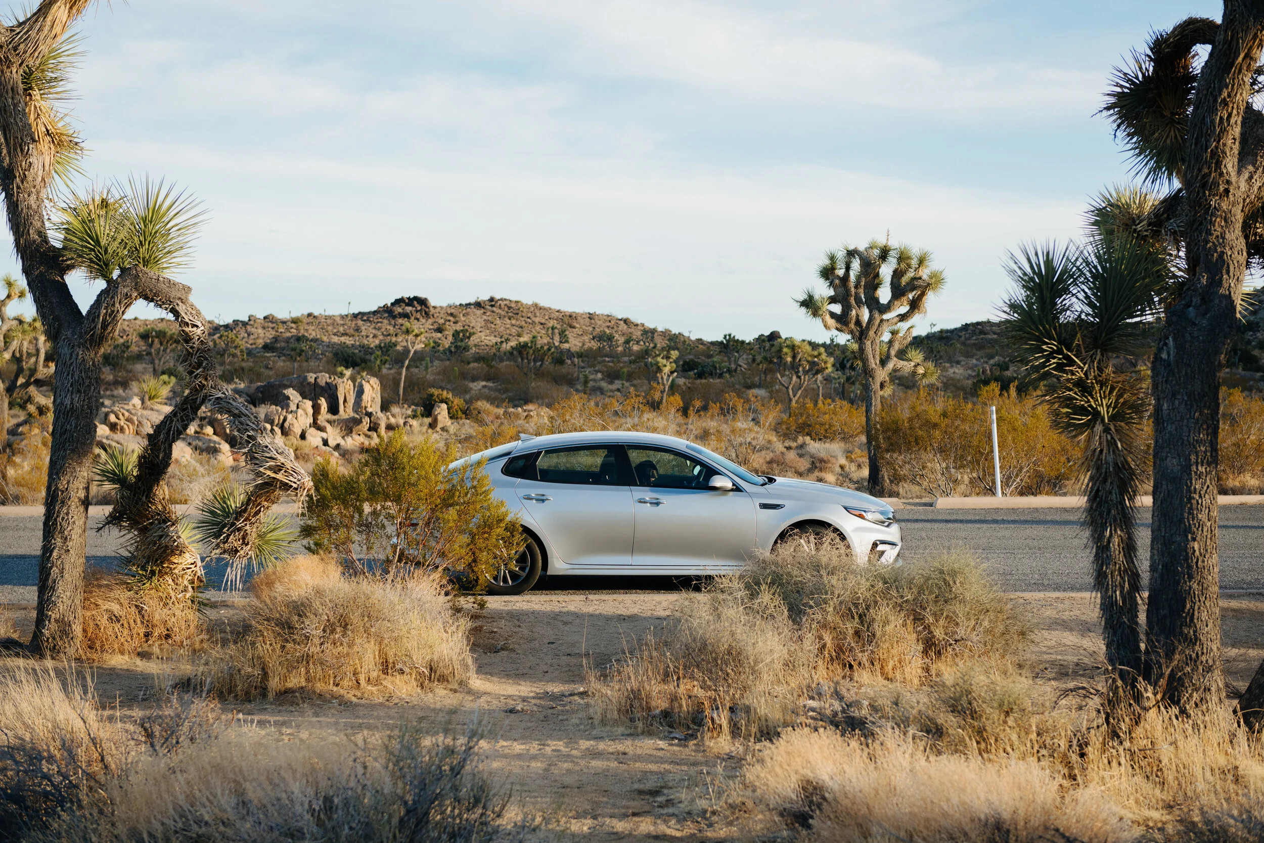 AfterlightImage 9.JPG