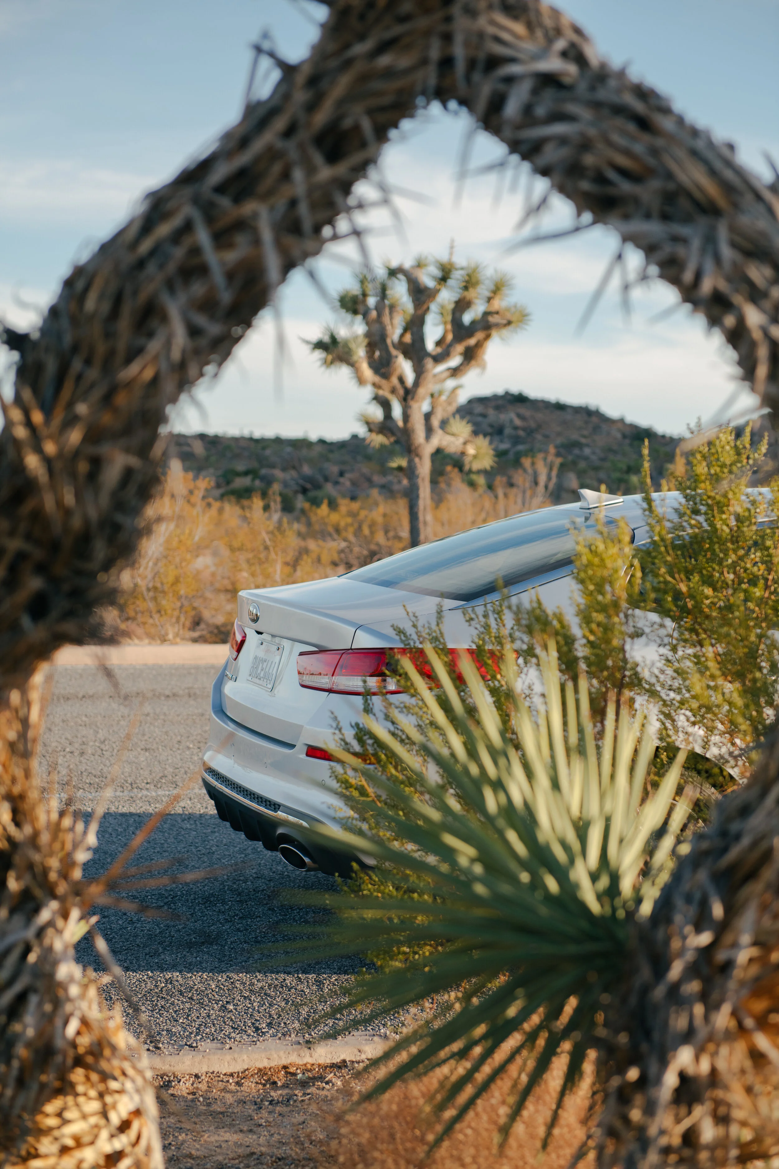 AfterlightImage 10.JPG