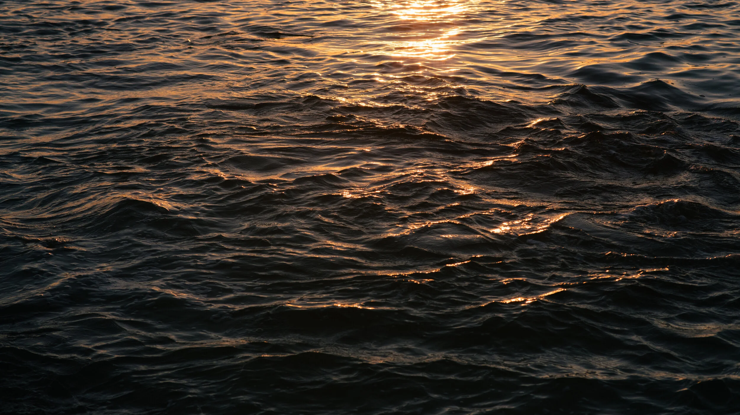 AfterlightImage 3.JPG