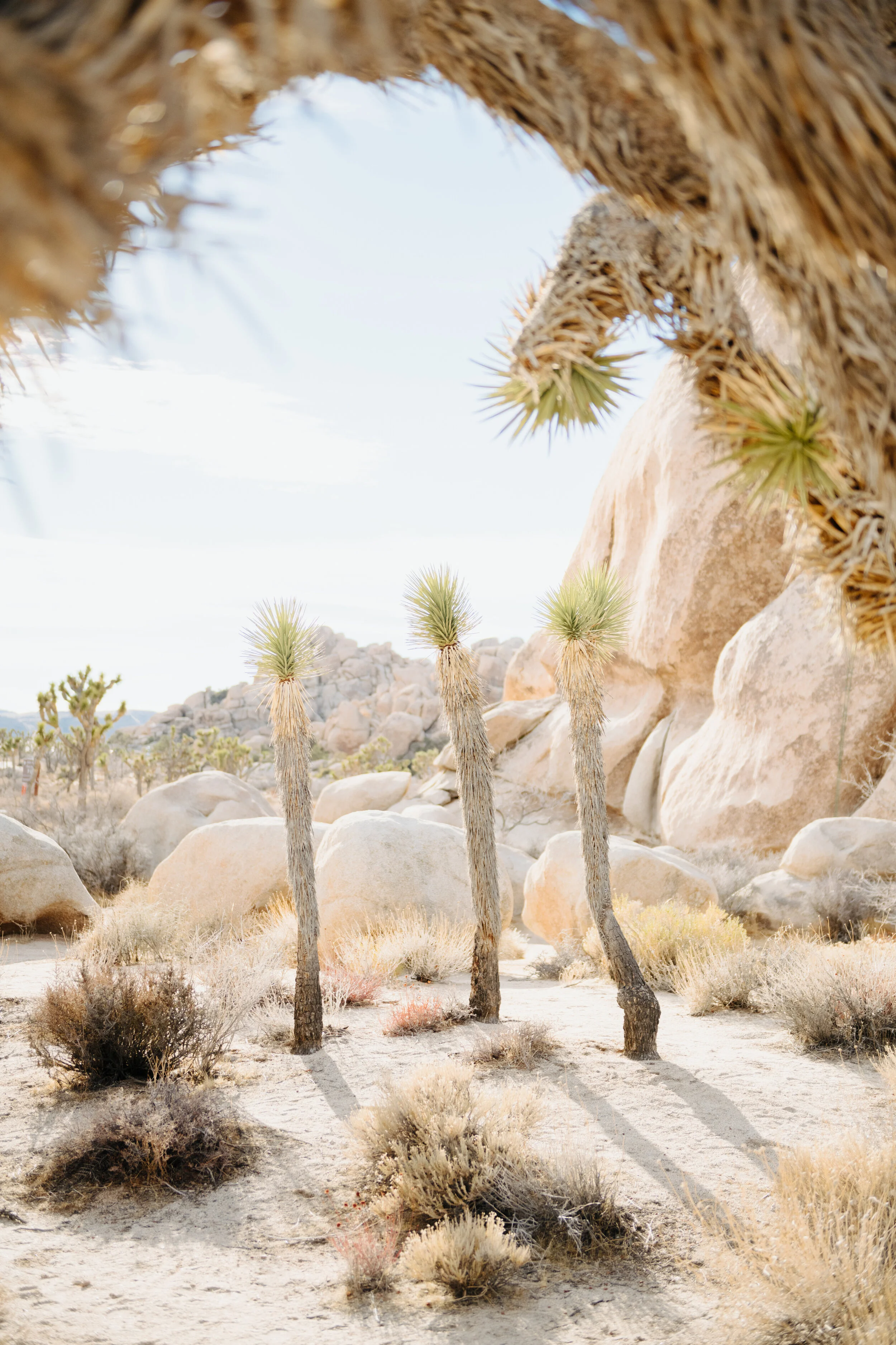 AfterlightImage 5.JPG