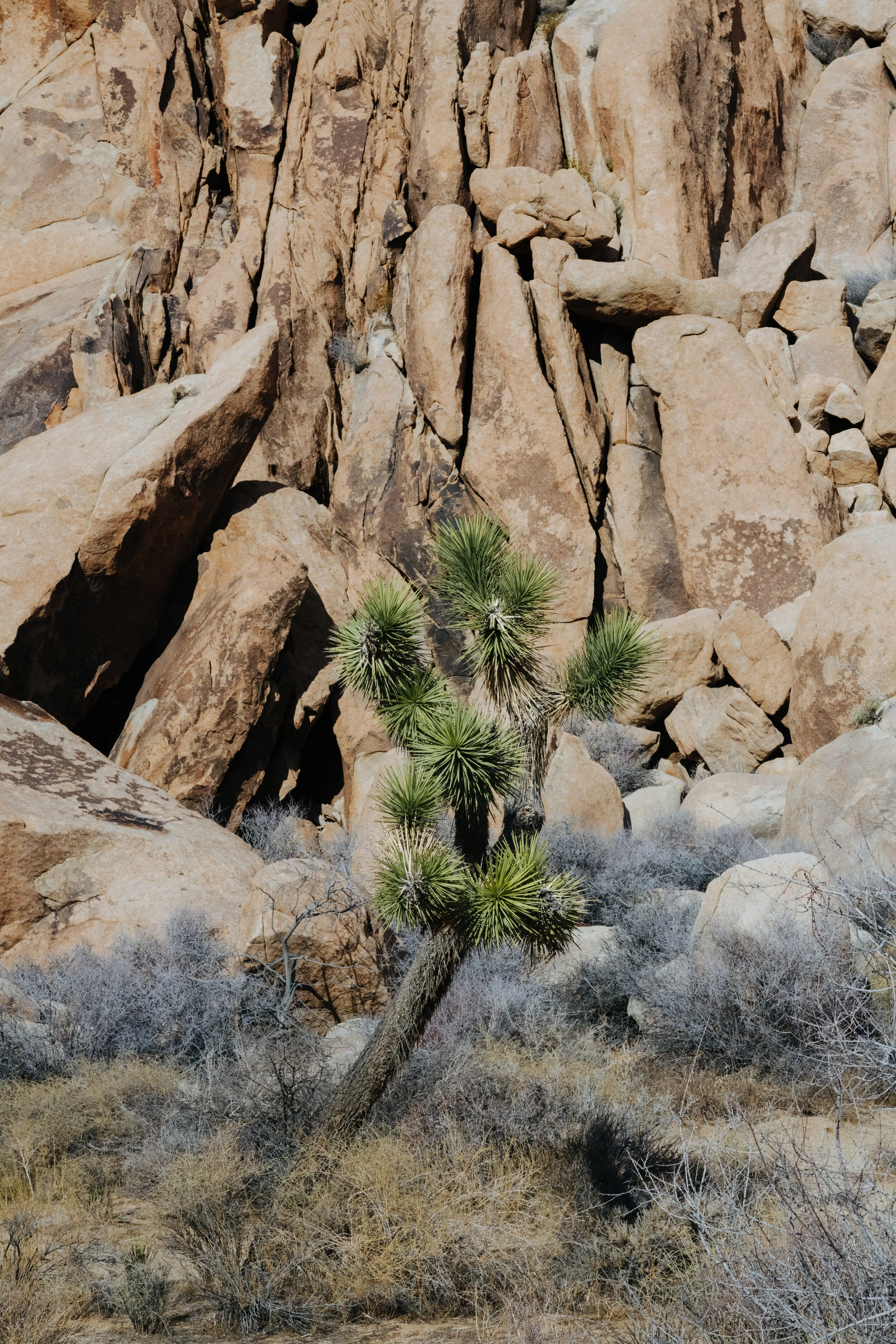 AfterlightImage 6.JPG