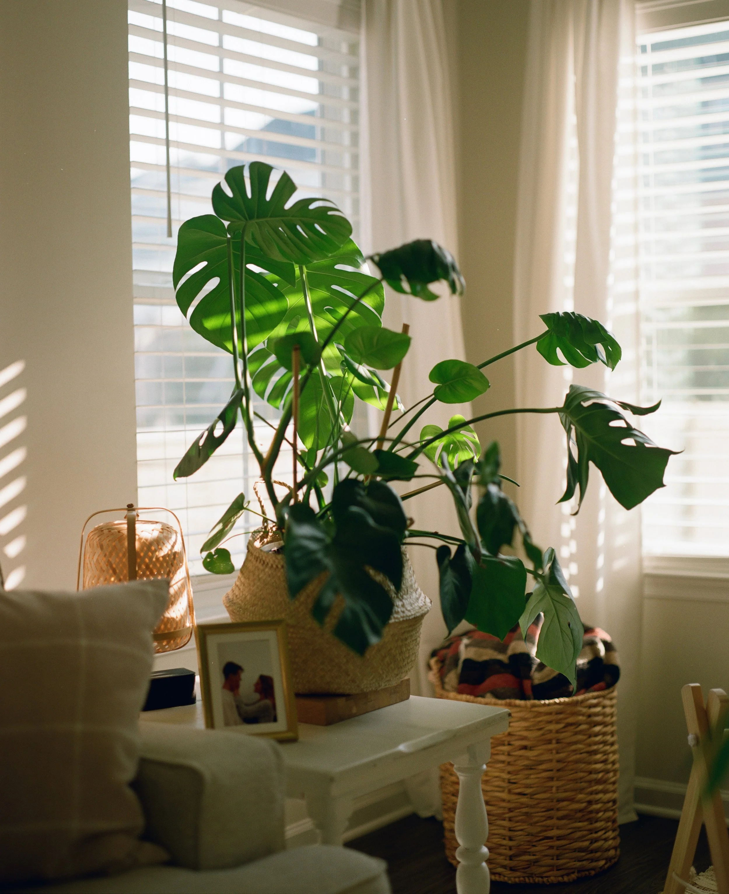 AfterlightImage 2.JPG