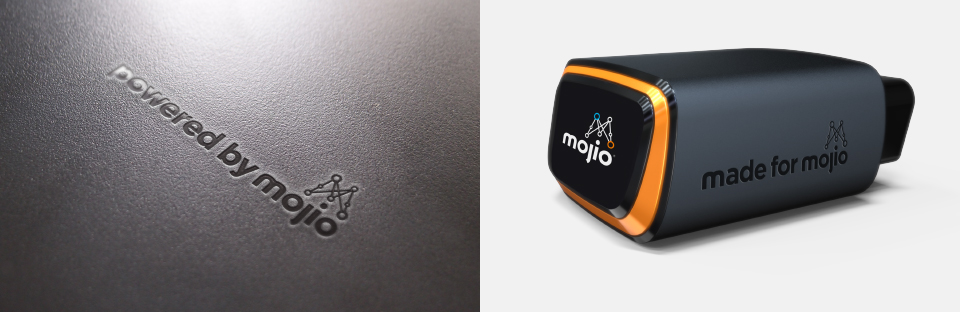 mojio12.jpg