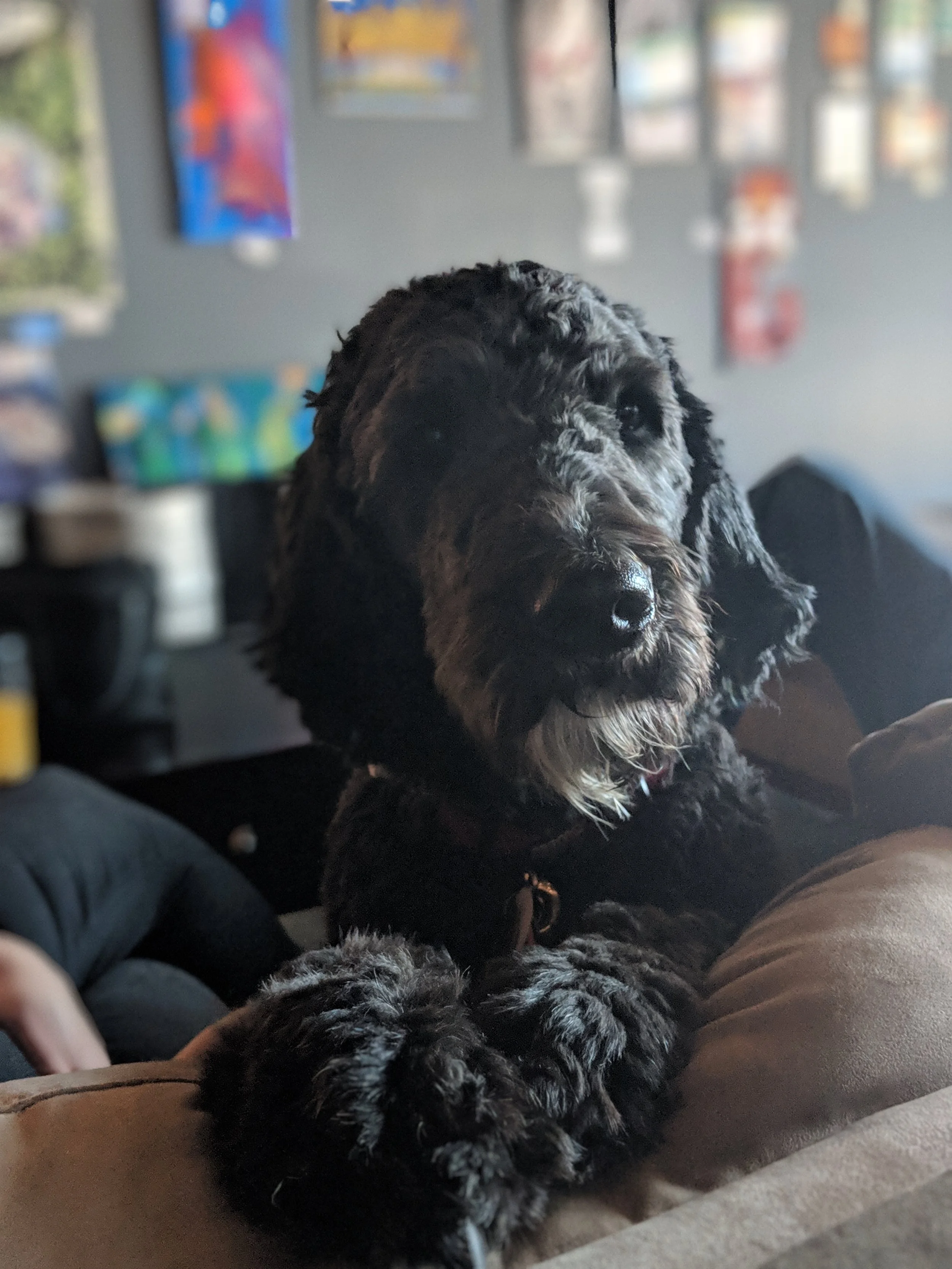 Twenty Brew is a great place to bring the pups!