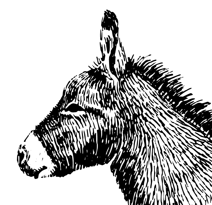 TDCCA MEMBERSHIP DUES