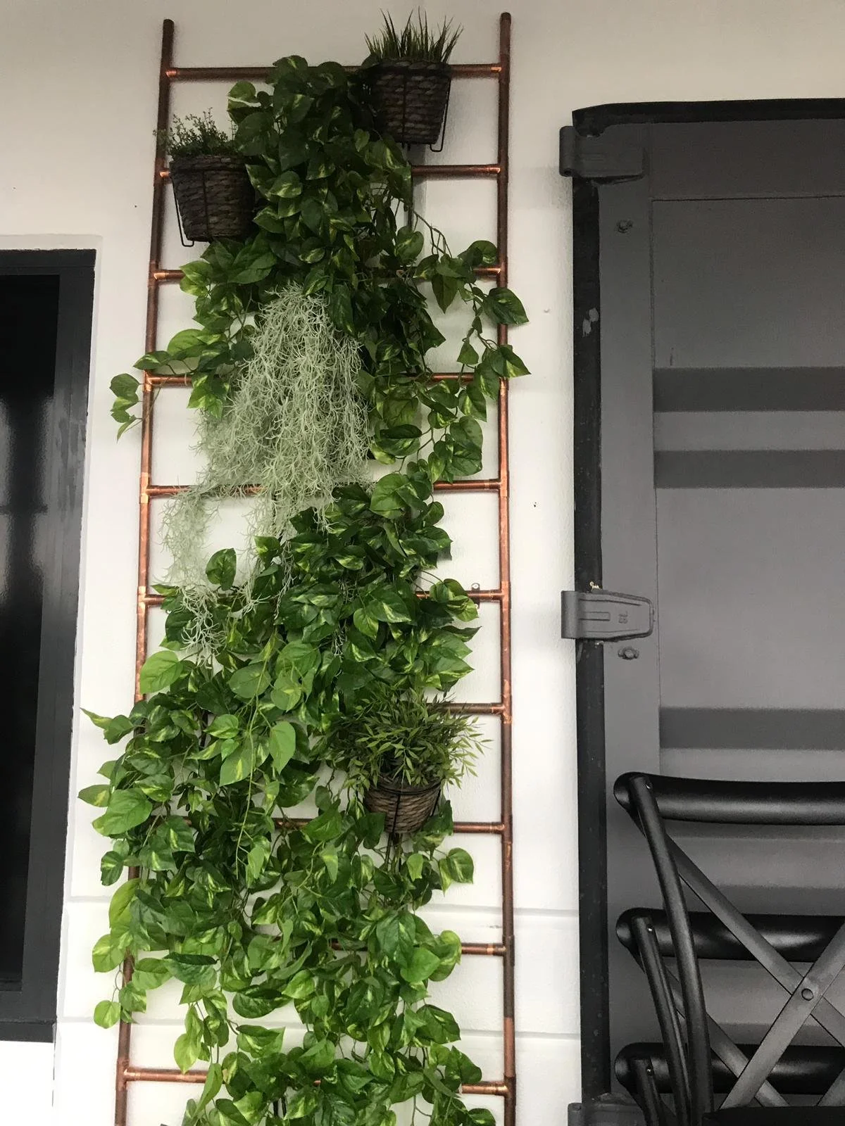 WhatsApp Image 2019-10-03 at 10.36.52 AM (1).jpeg