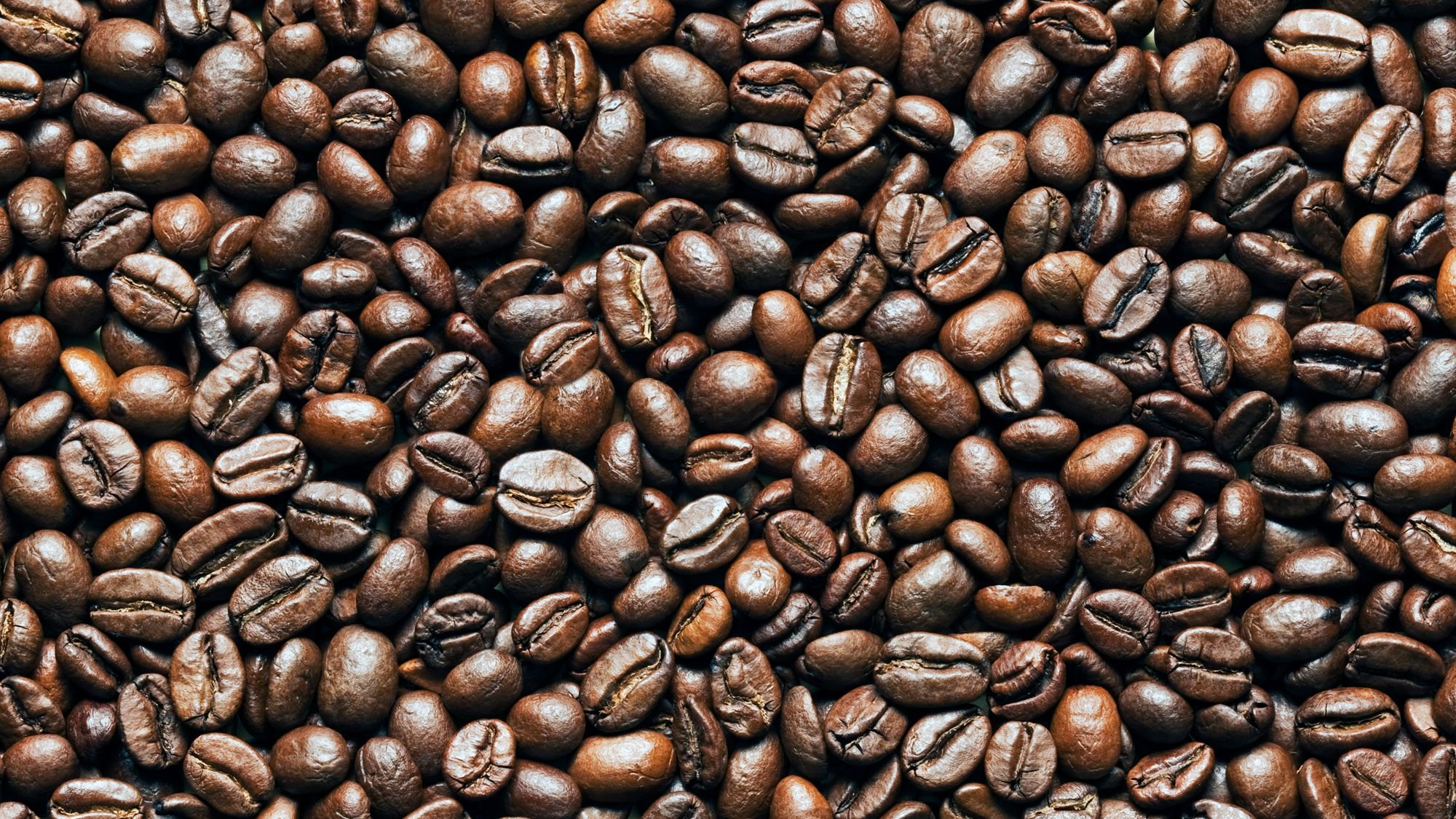 Coffee & Conversation - High Intermediate-Advanced w/ Mackenzie Bailey