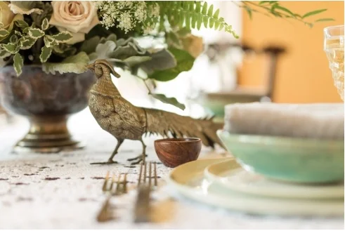 Vendor Spotlight: Feather + Oak Lifestyle Rentals