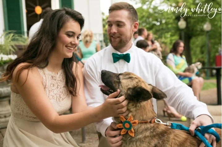 Vendor Spotlight: Mandy Whitley Photography