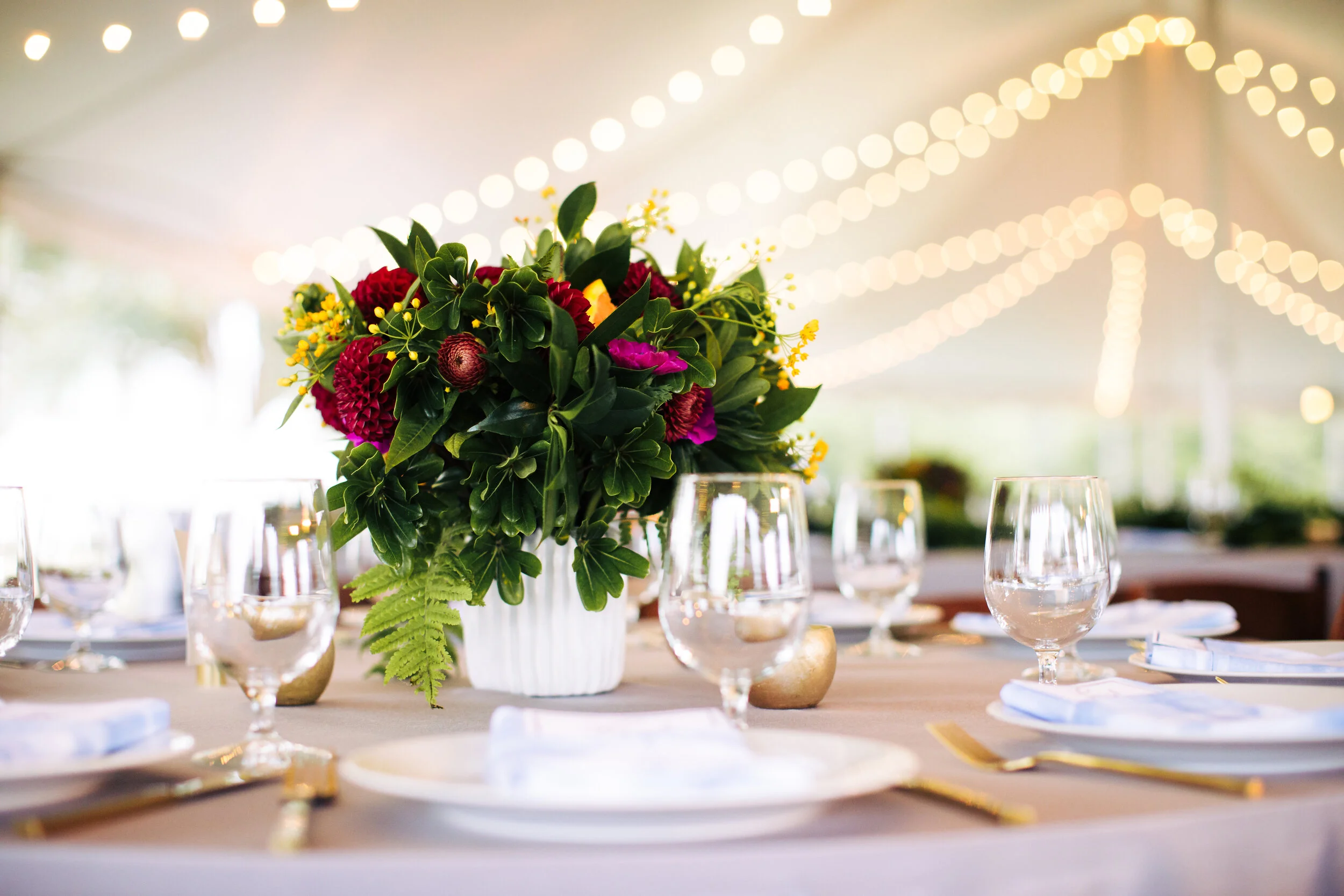 Photo by CK Dirks Photography