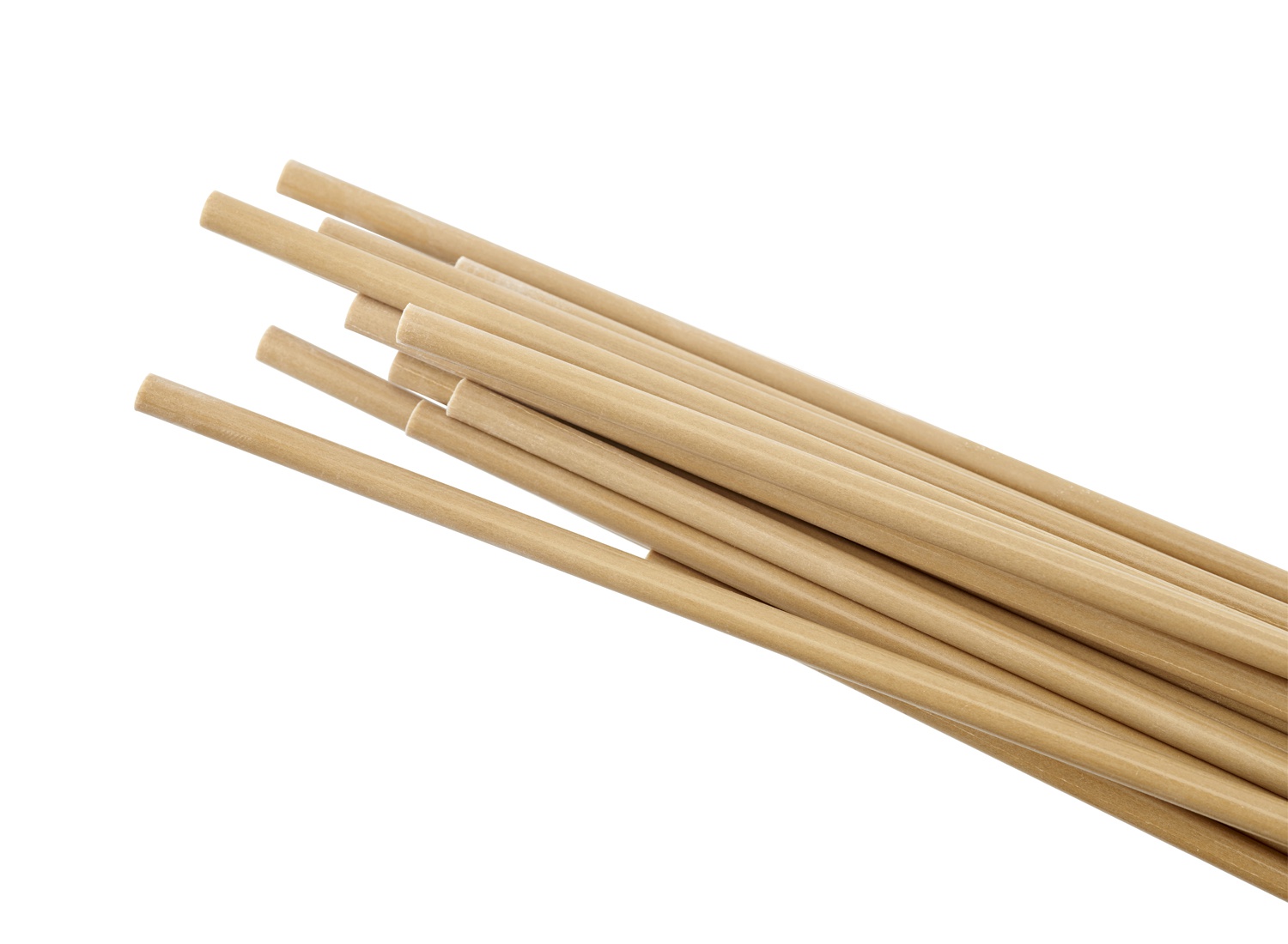 Sticks_Bases-sharp-curved-o200-4248.jpg