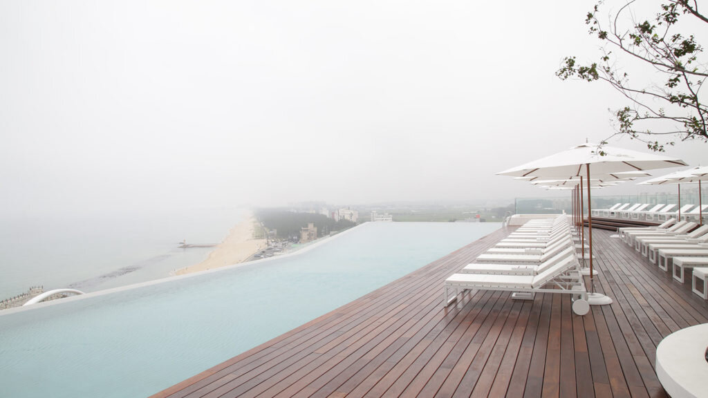 Ipe Header 1.jpg