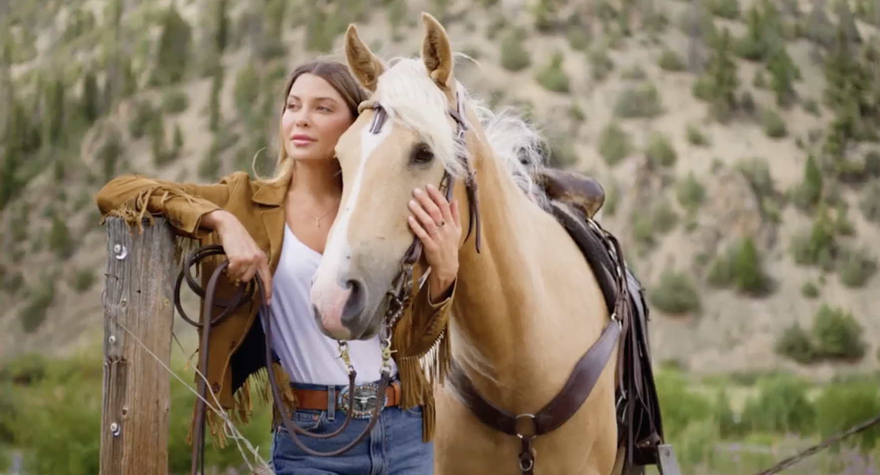 Video: Desert Ombre 