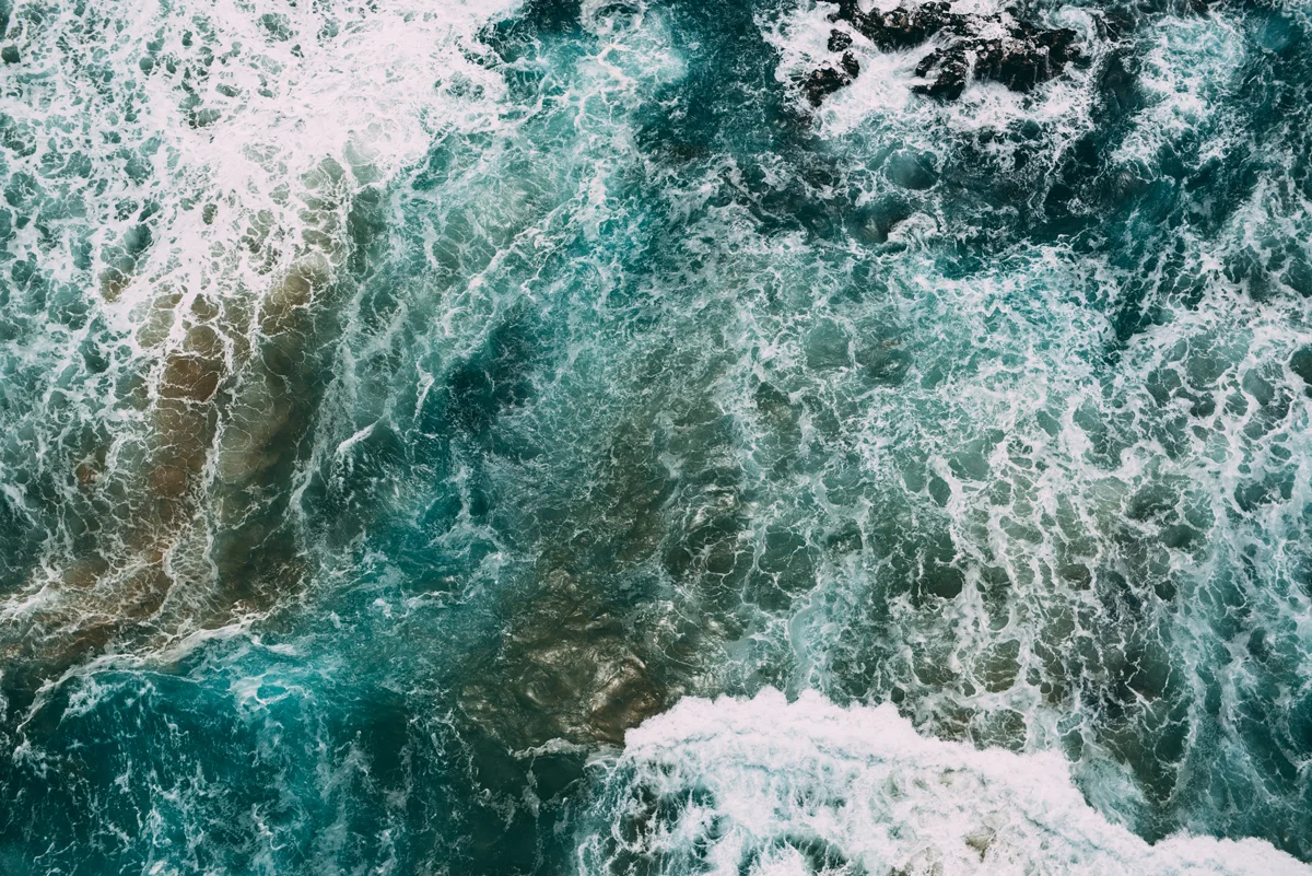 01 Motion Texture - Open Edition