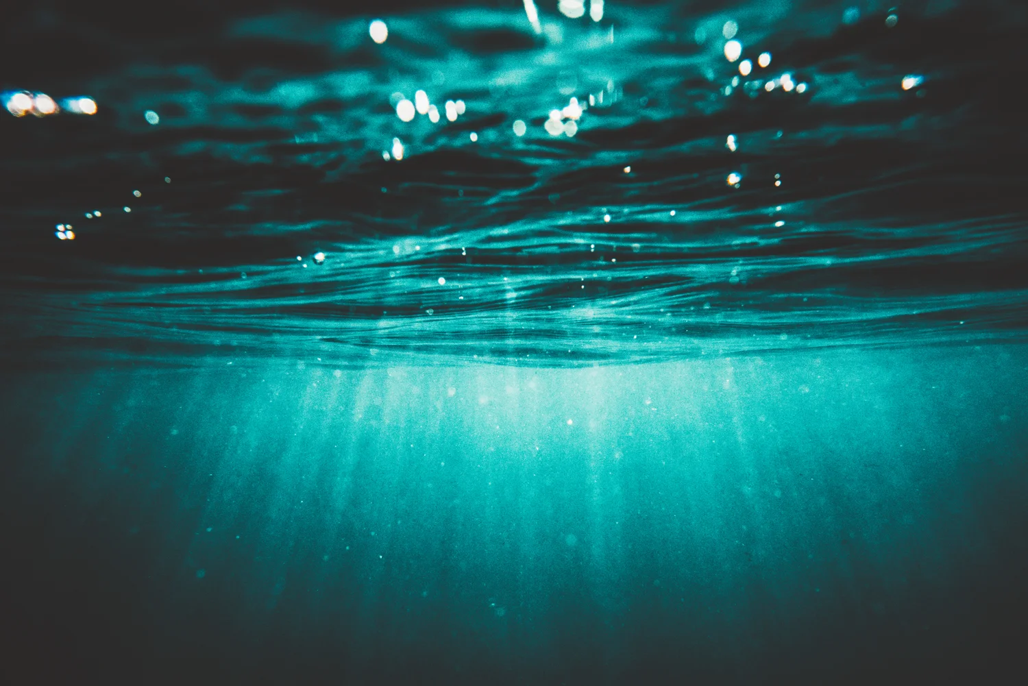 12 Therapy - Limited Edition 1/3 (2 available)