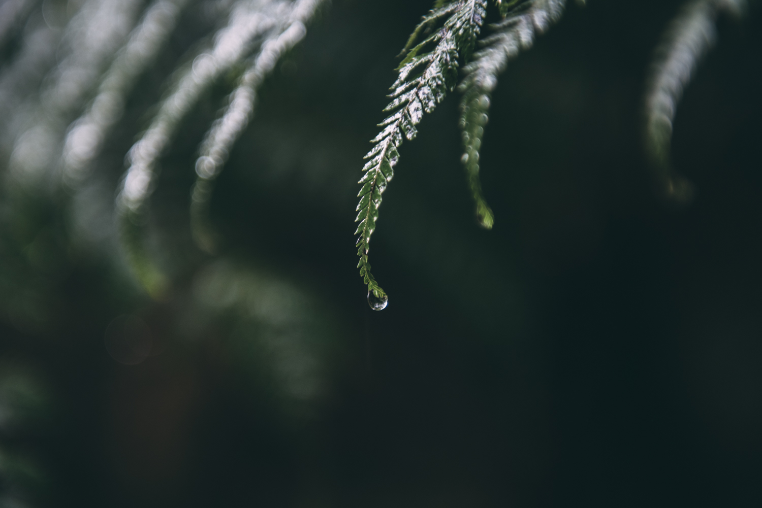 Samsung_Lola Photography_057.jpg