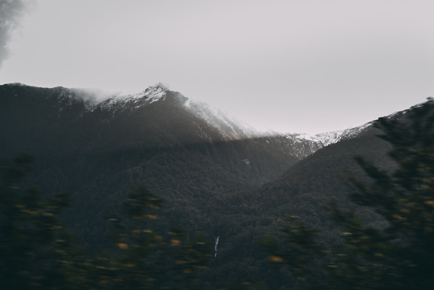 Samsung_Lola Photography_066.jpg