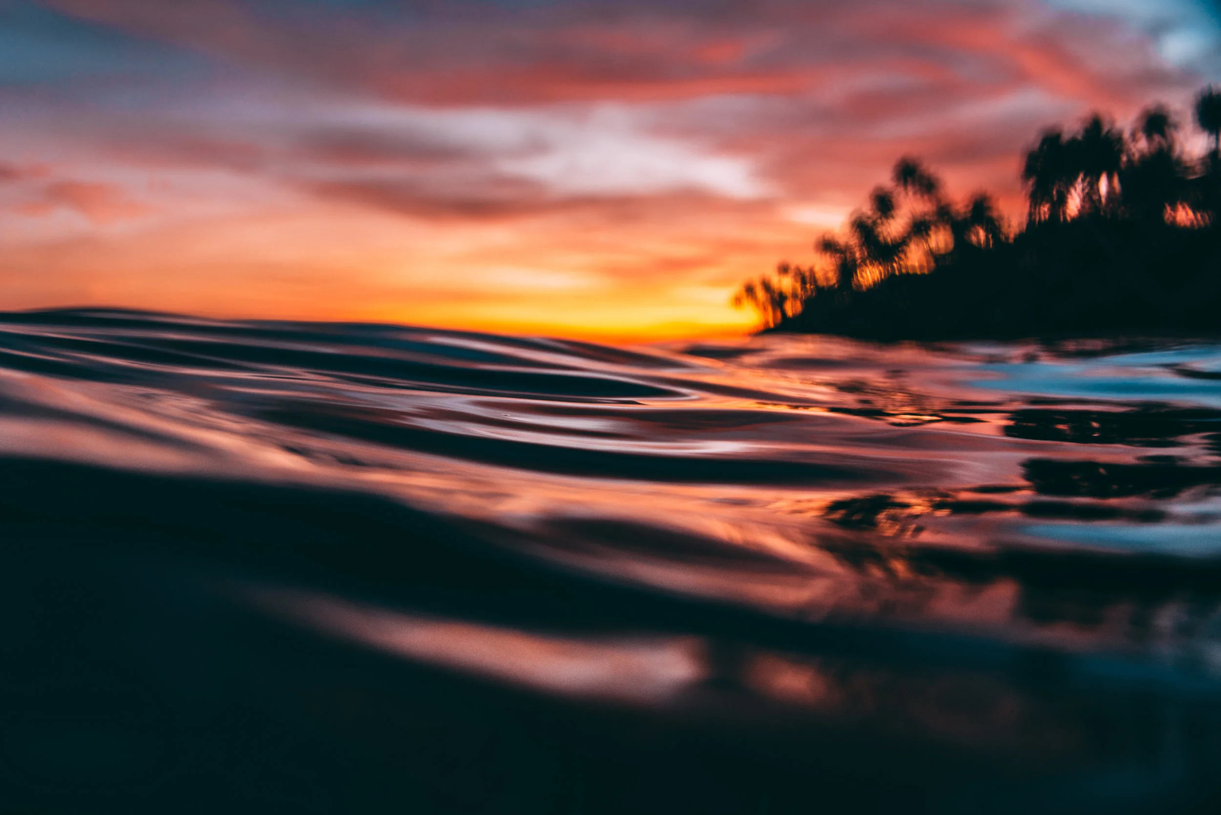 Samoa silk Lola Photography.jpg