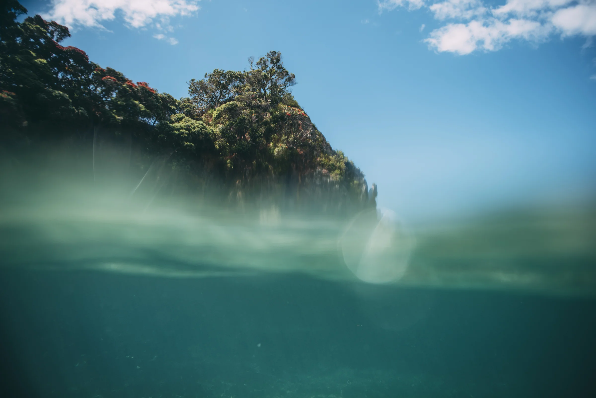 Aqua Lola Photography_2_017.jpg