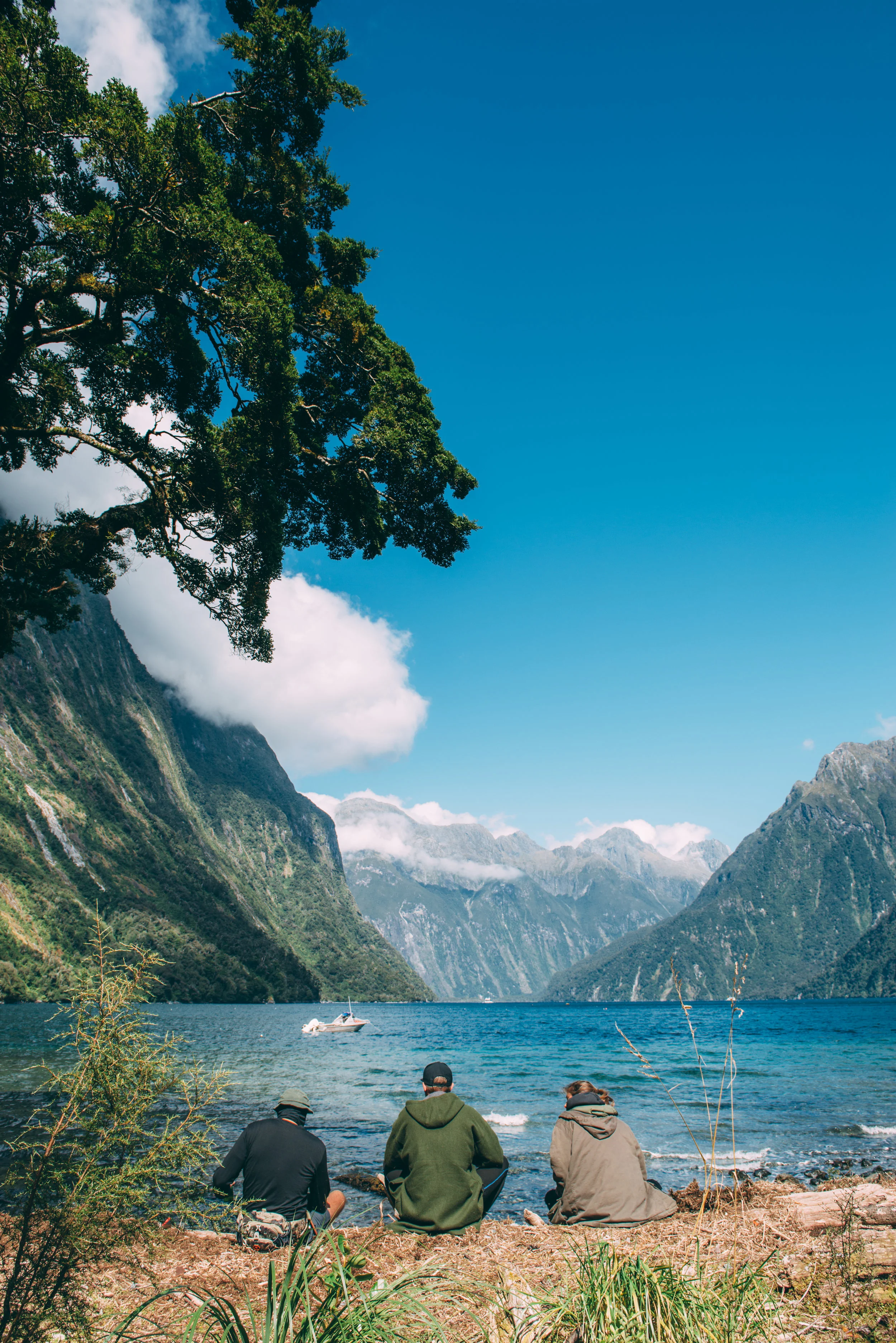 Milford Sound, Fiordland