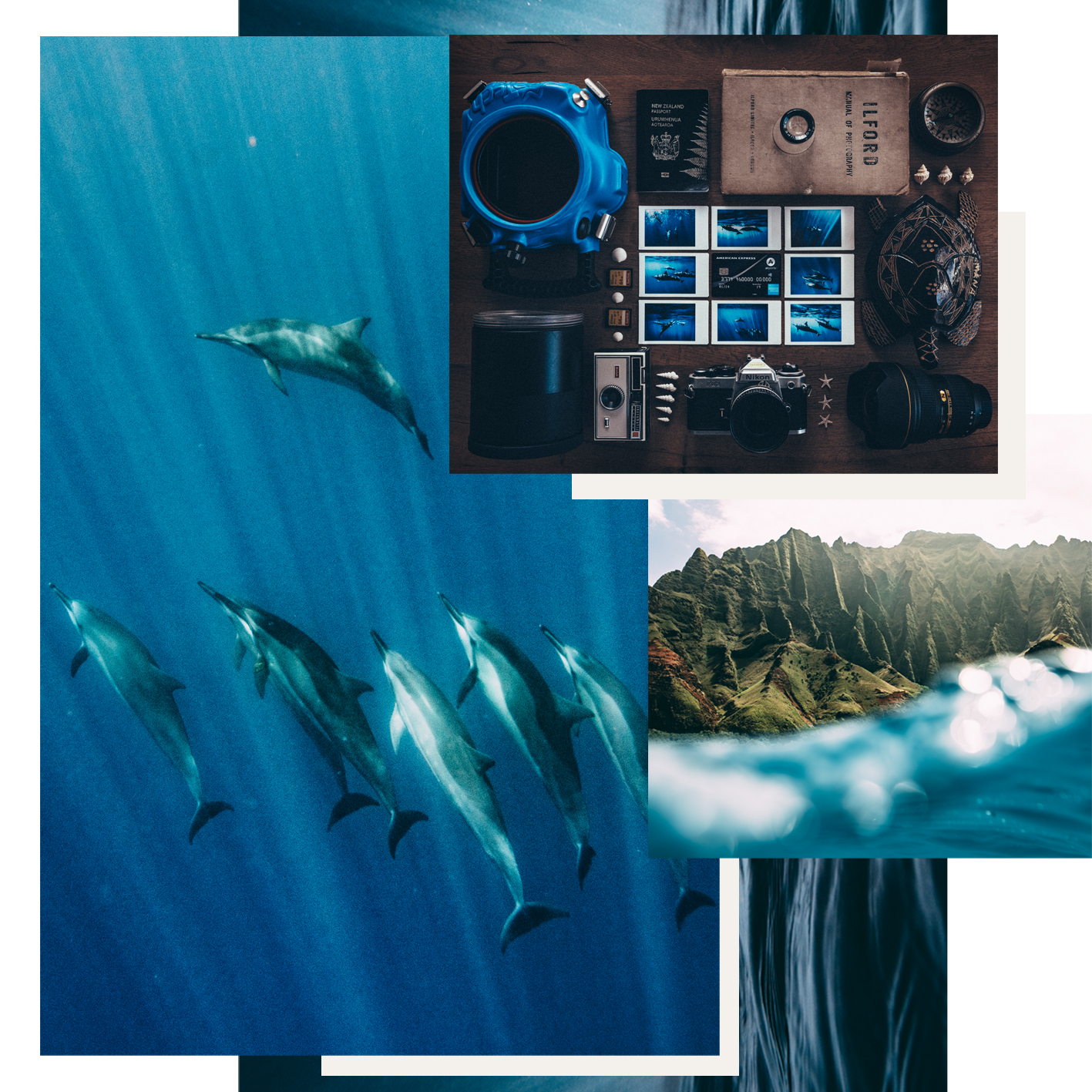 Amex-Lola-Photography-Collage.jpg