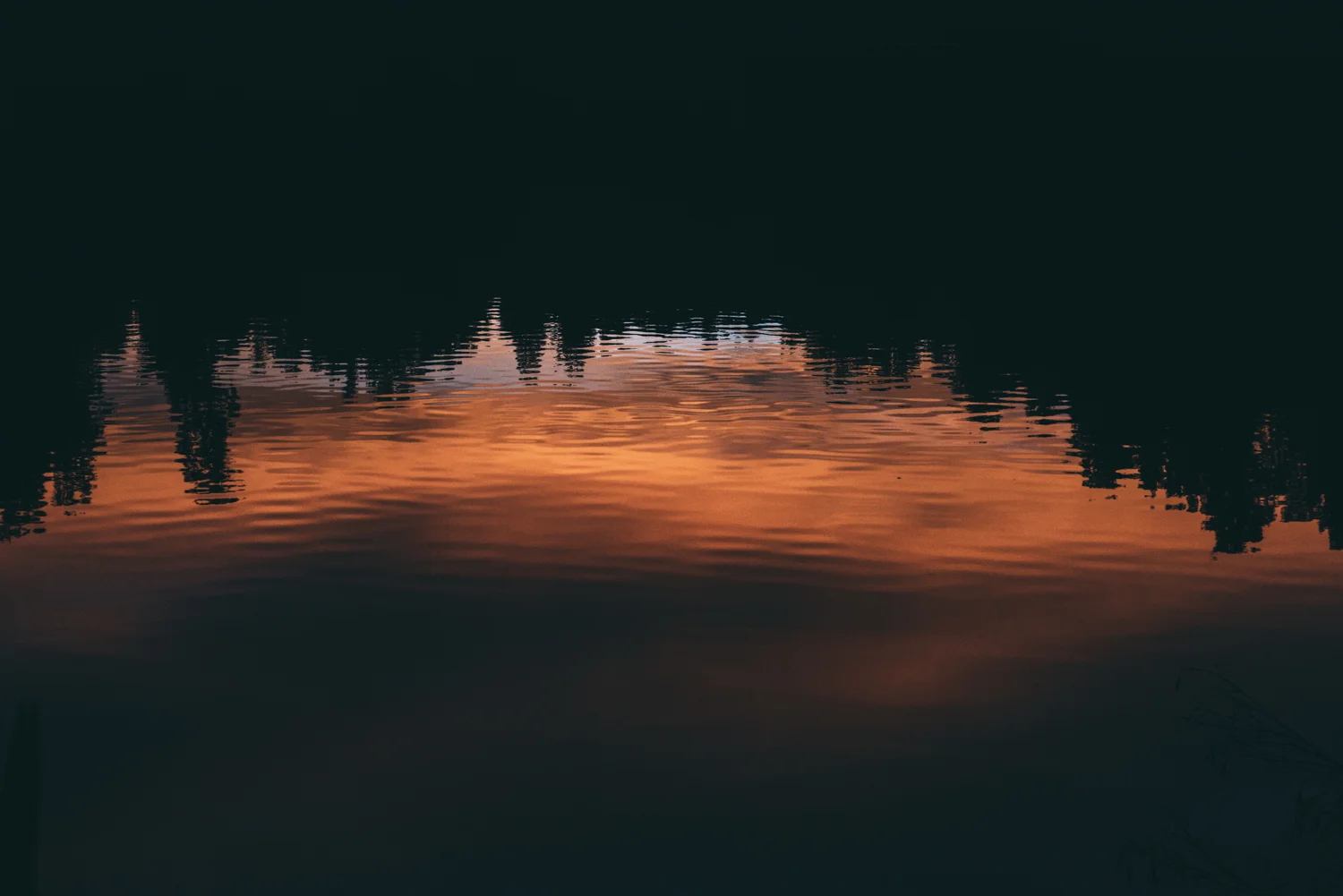 Samsung_Lola Photography_219.jpg