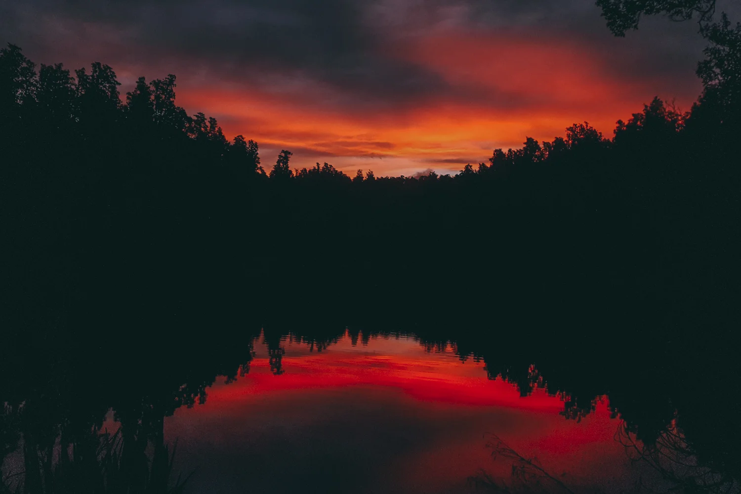 Samsung_Lola Photography_220.jpg