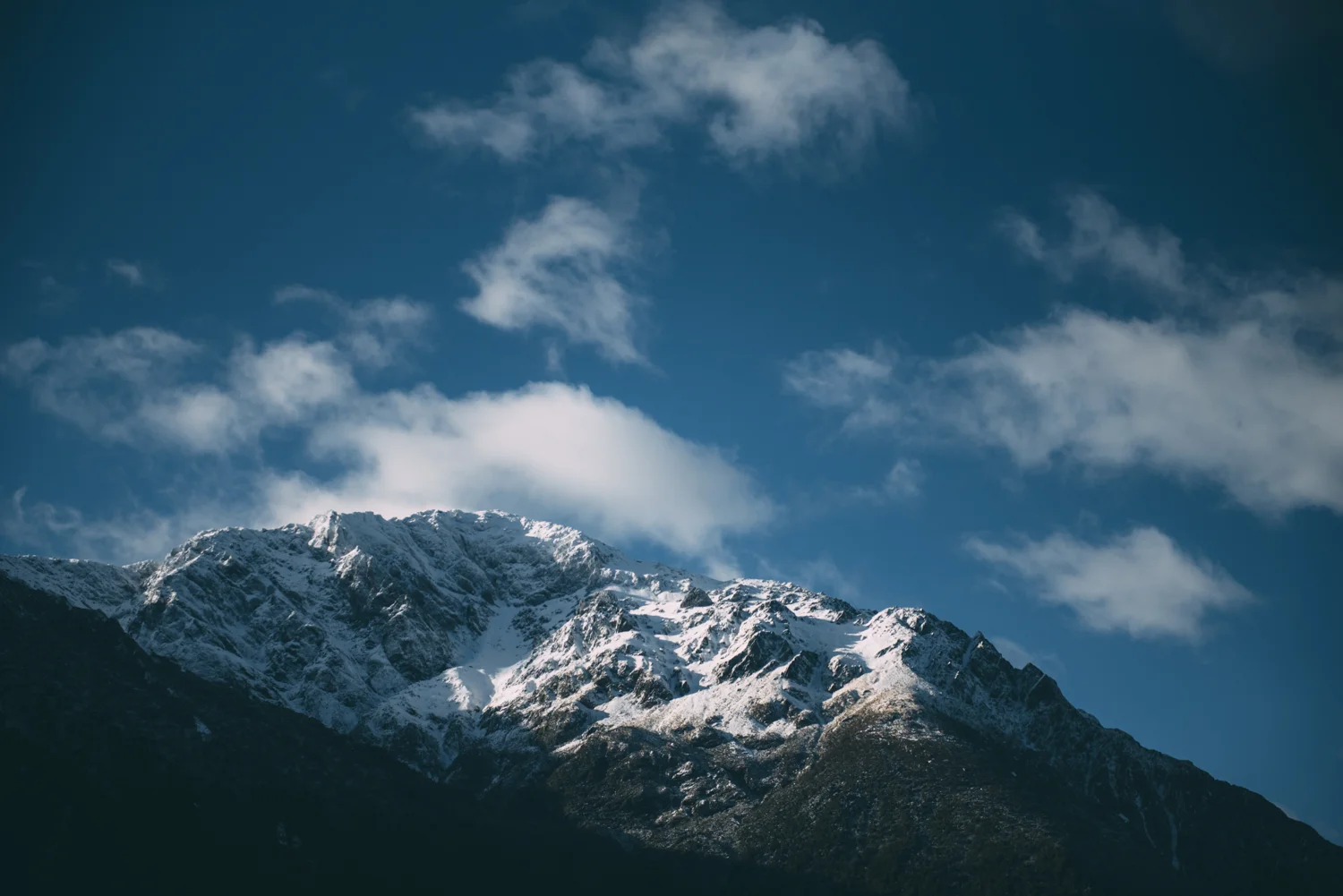 Samsung_Lola Photography_261.jpg