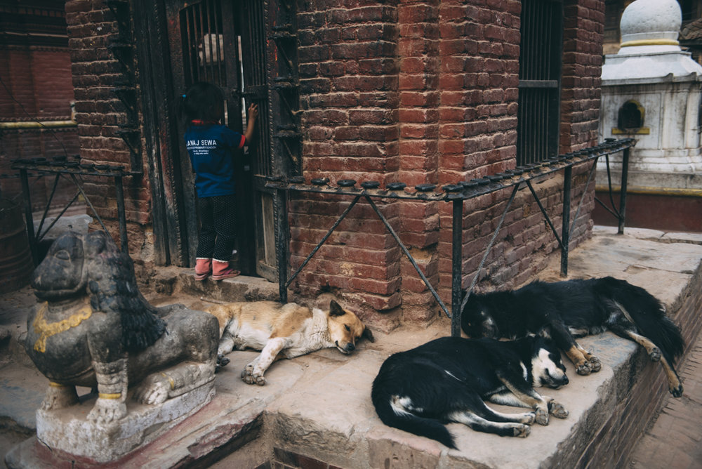 Nepal Blog Lola Photography_327.jpg