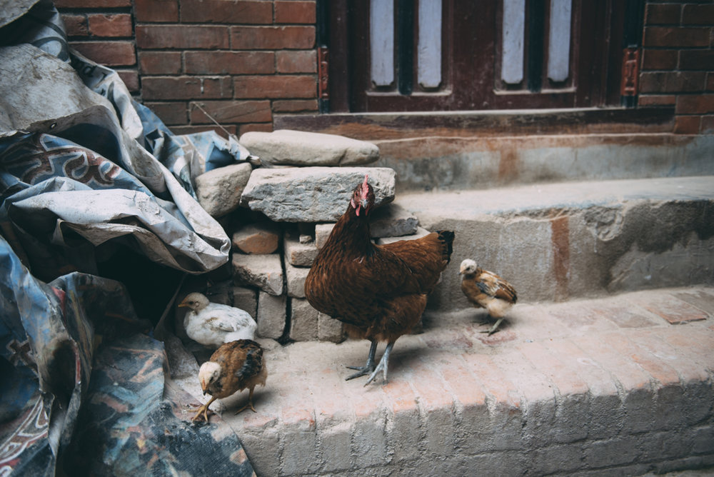 Nepal Blog Lola Photography_343.jpg