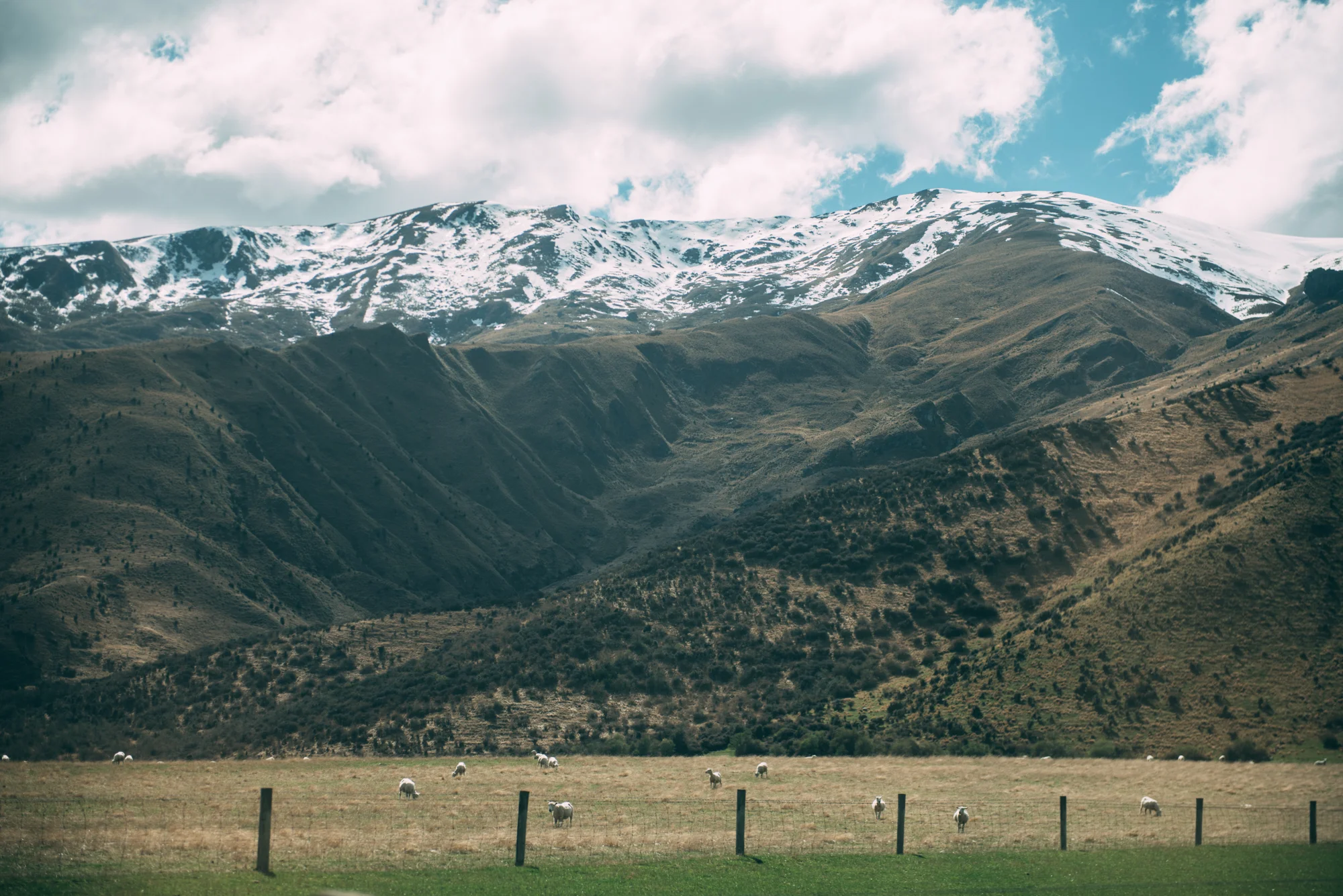 Queenstown Birthday Blog Lola Photography_157.jpg