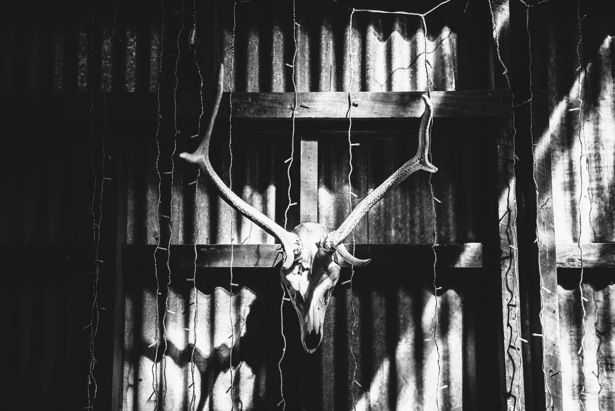 Queenstown Birthday Blog Lola Photography_178.jpg