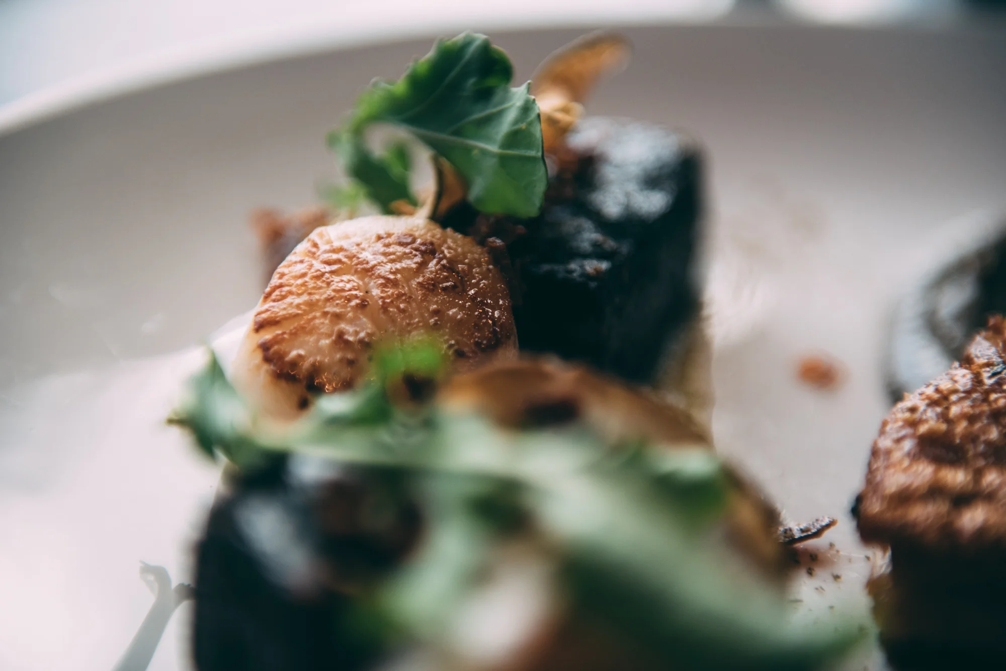 Queenstown Birthday Blog Lola Photography_226.jpg