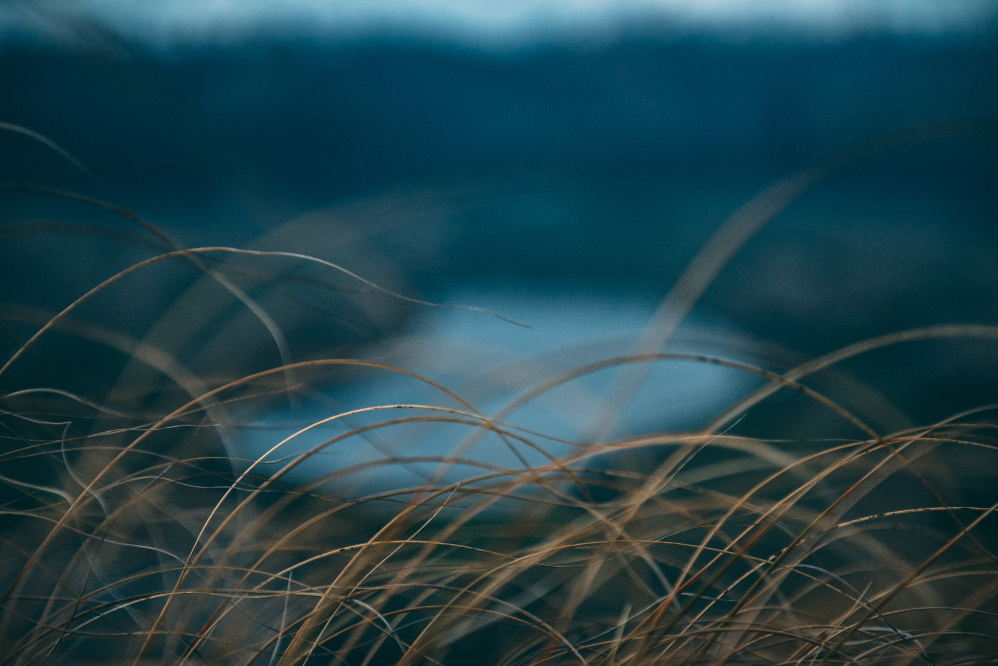 Queenstown Birthday Blog Lola Photography_254.jpg