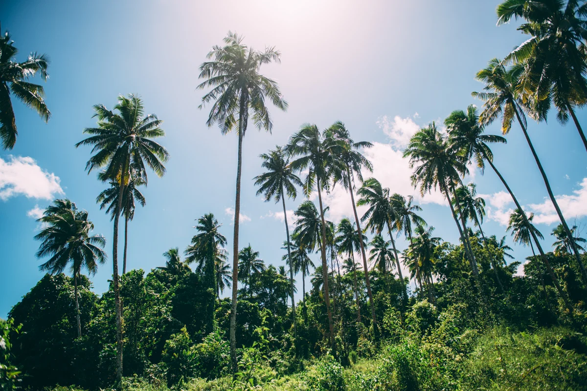 Samoa Blog Lola Photography 036.jpg