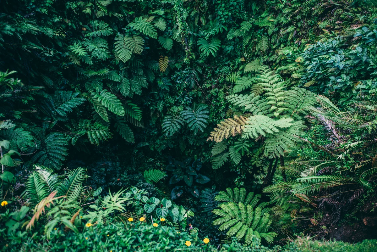 Samoa Blog Lola Photography 039.jpg