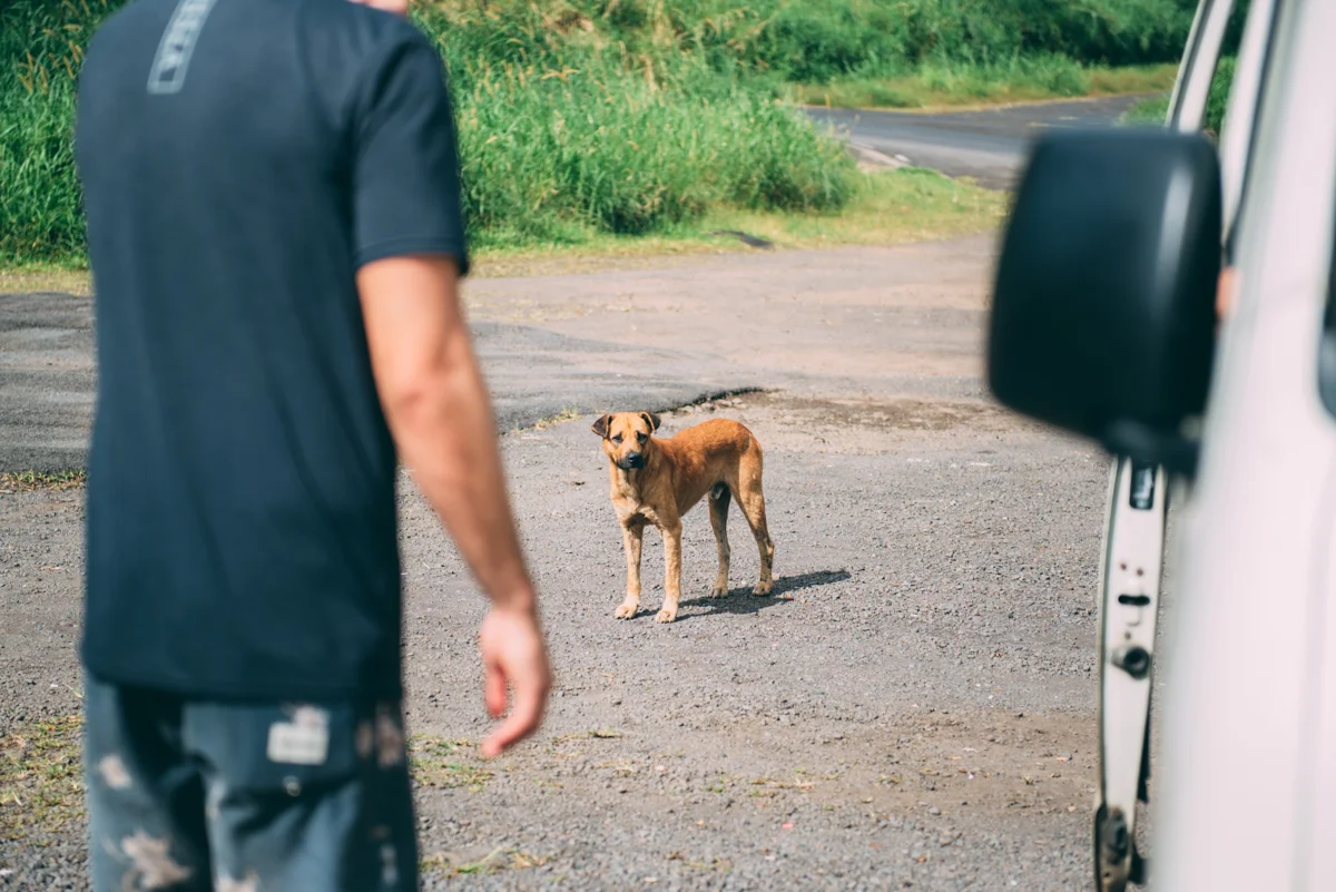 Samoa Blog Lola Photography 117.jpg